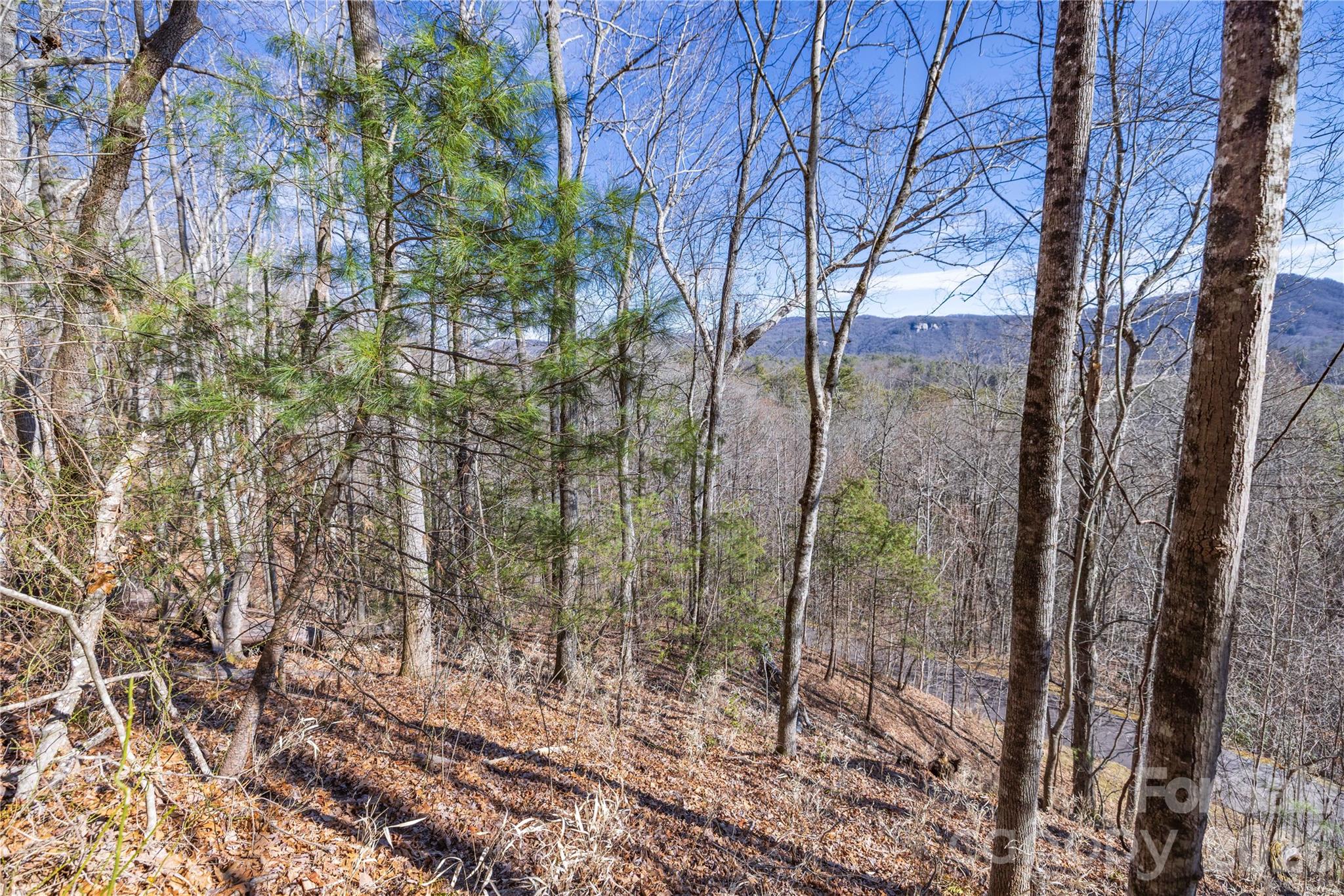 Mountain Brook - Land