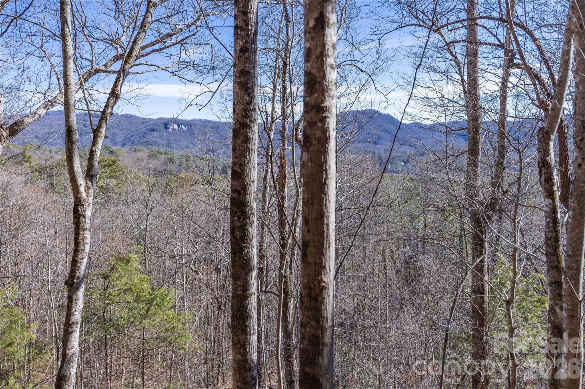 Mountain Brook - Land