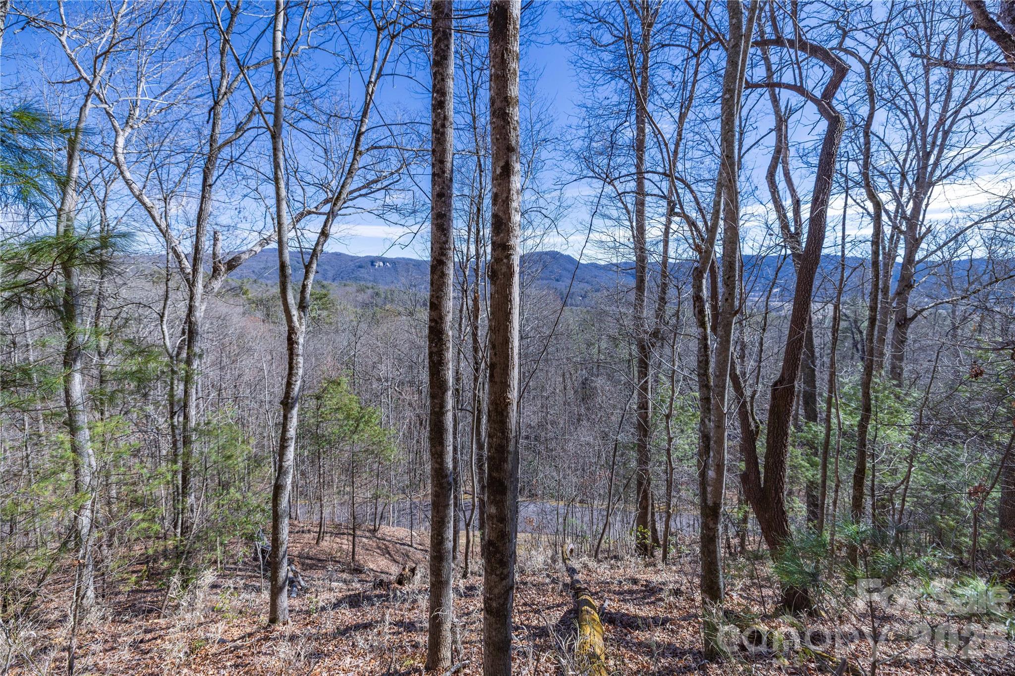 Mountain Brook - Land