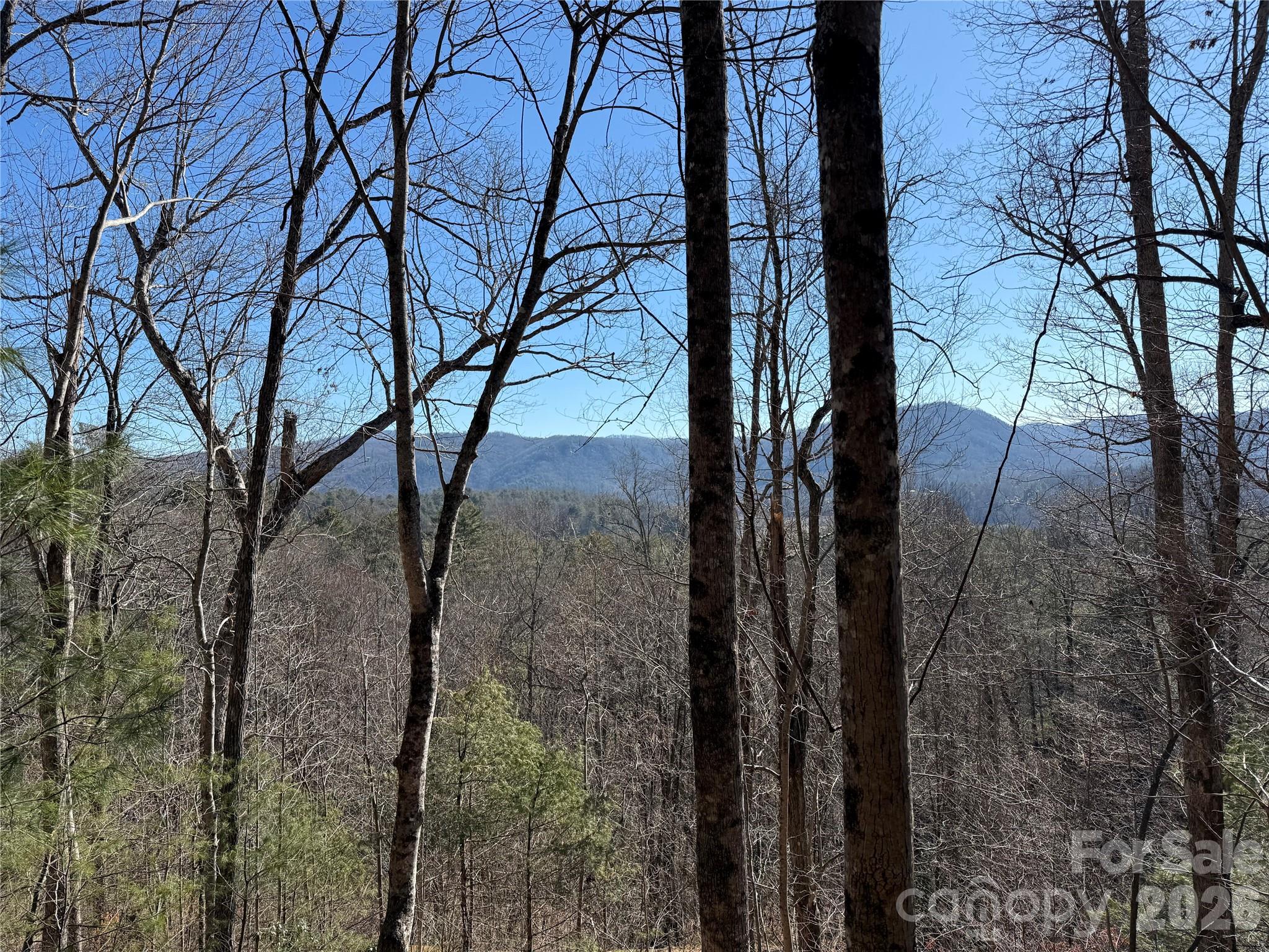 Mountain Brook - Land