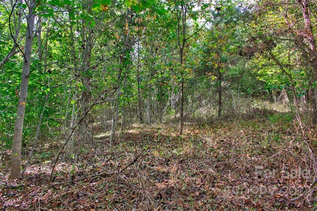 Clearwater Creek - Land