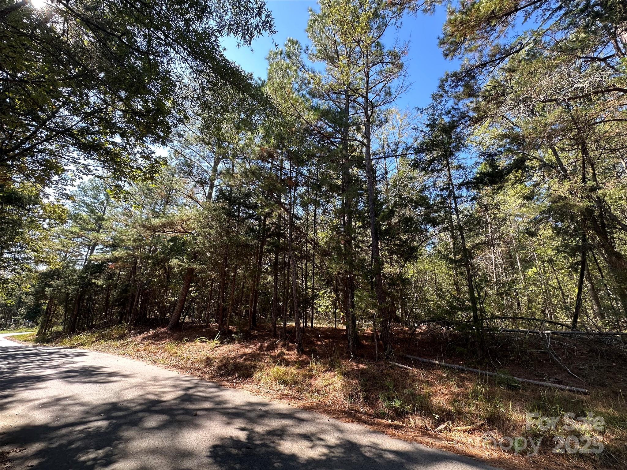 Discover the perfect spot to build your dream home on this beautiful (+/-) 0.528-acre lot located on Poverty Hollow Road in Fort Lawn, SC. Enjoy the peace and privacy of a quiet setting while still being just a short drive from local amenities, shopping, and dining. This spacious lot offers plenty of room for your ideal layout, outdoor living, and future growth. Whether you’re planning your forever home or an investment project, this property provides endless potential in a great location. Don’t miss this opportunity to create your vision from the ground up!