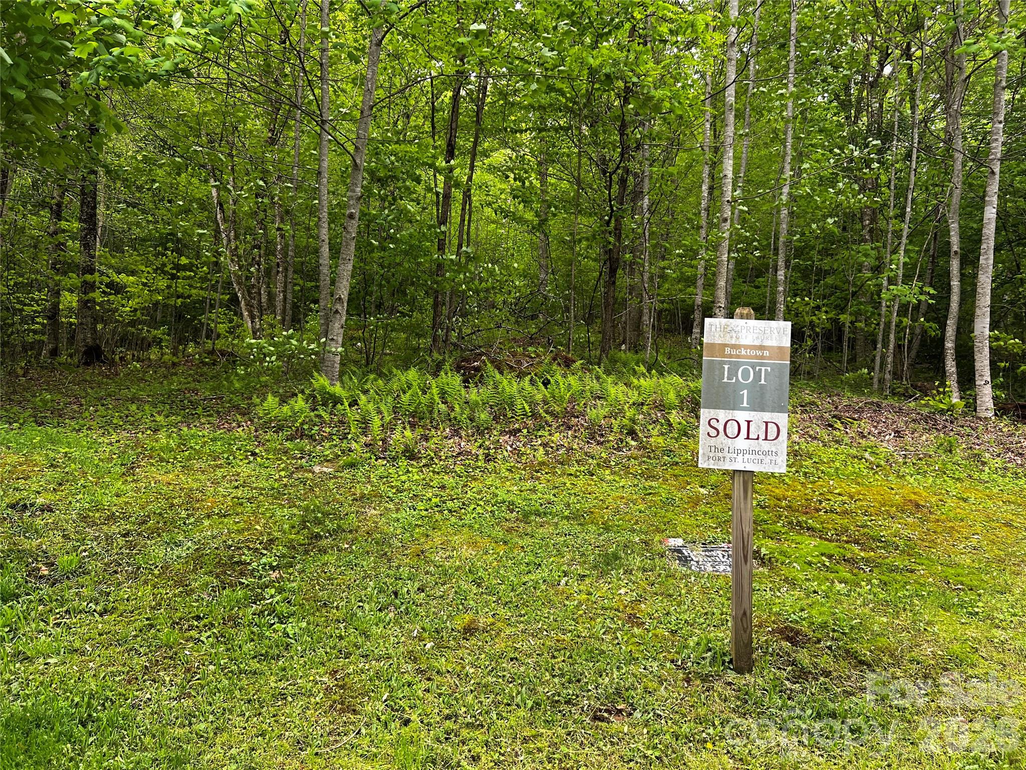 The Preserve at Wolf Laurel - Land