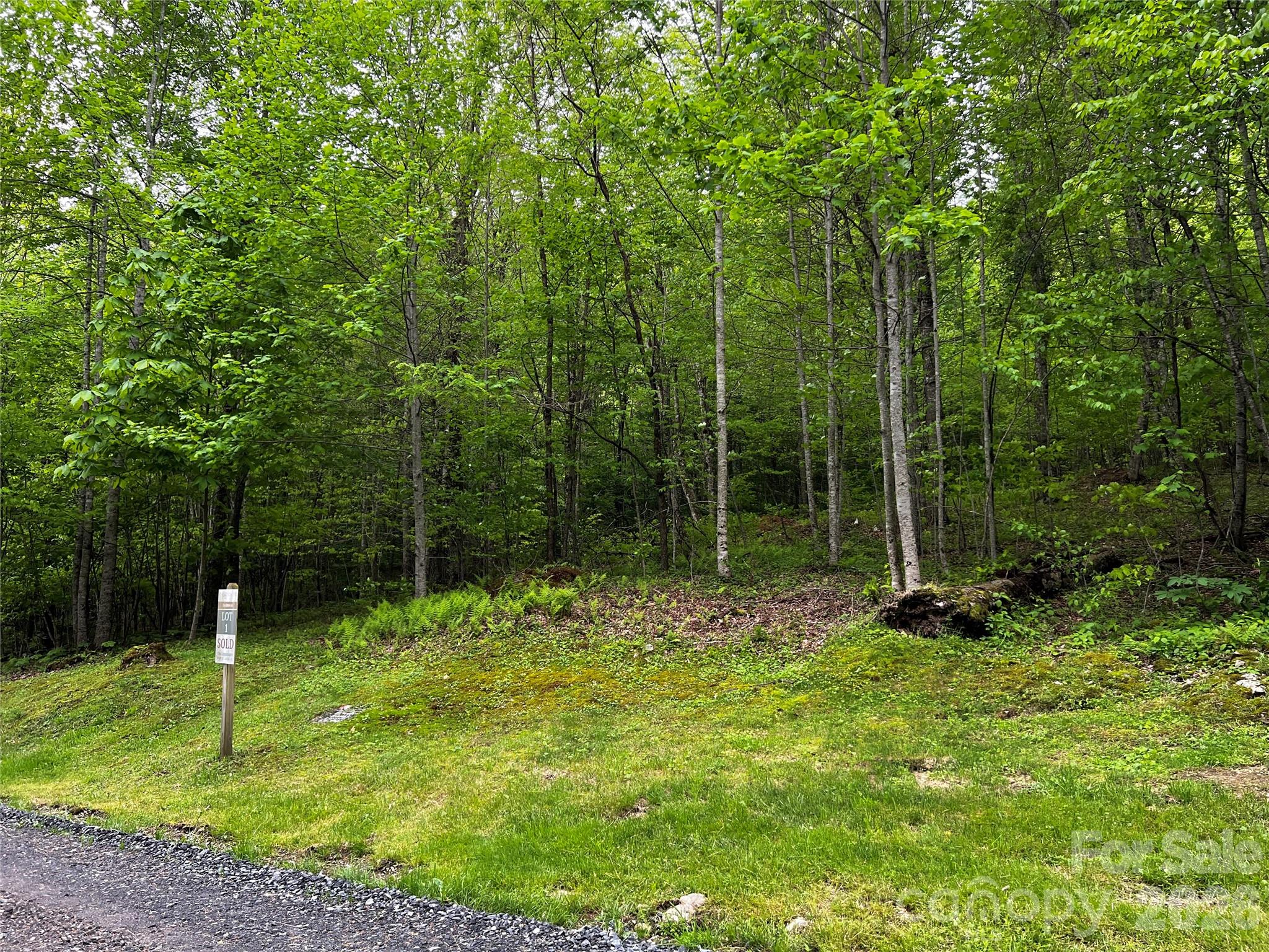 The Preserve at Wolf Laurel - Land