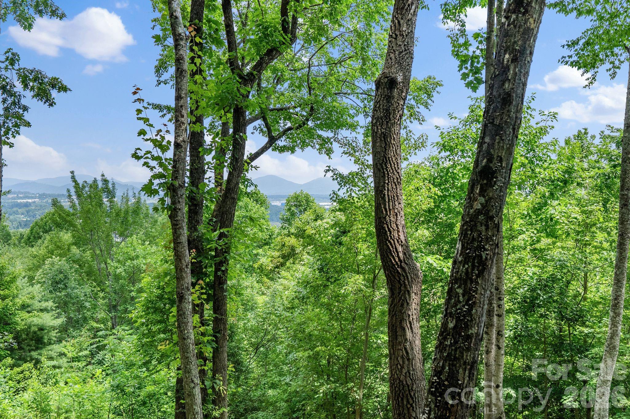 The Cliffs At Walnut Cove - Residential