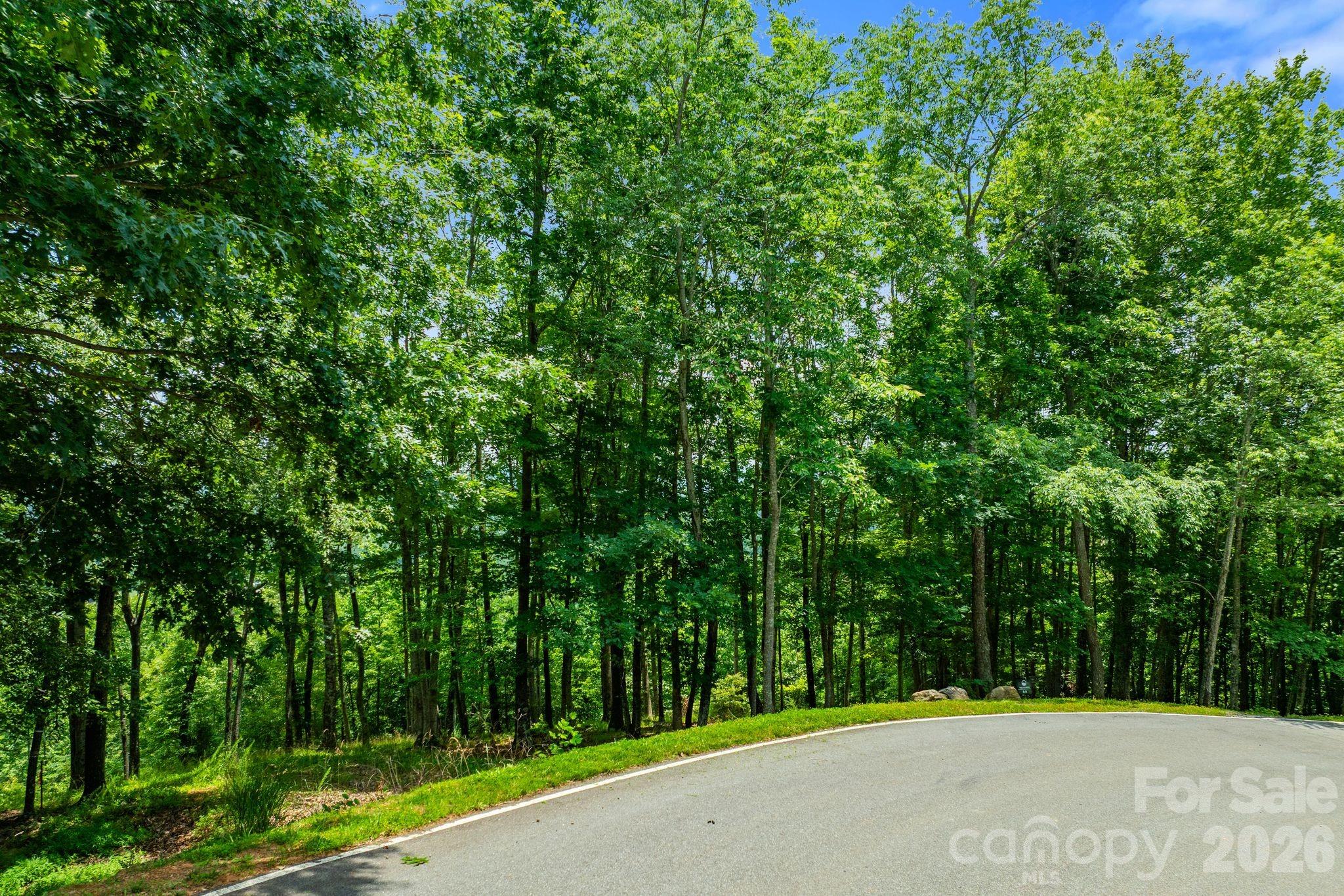 The Cliffs At Walnut Cove - Residential