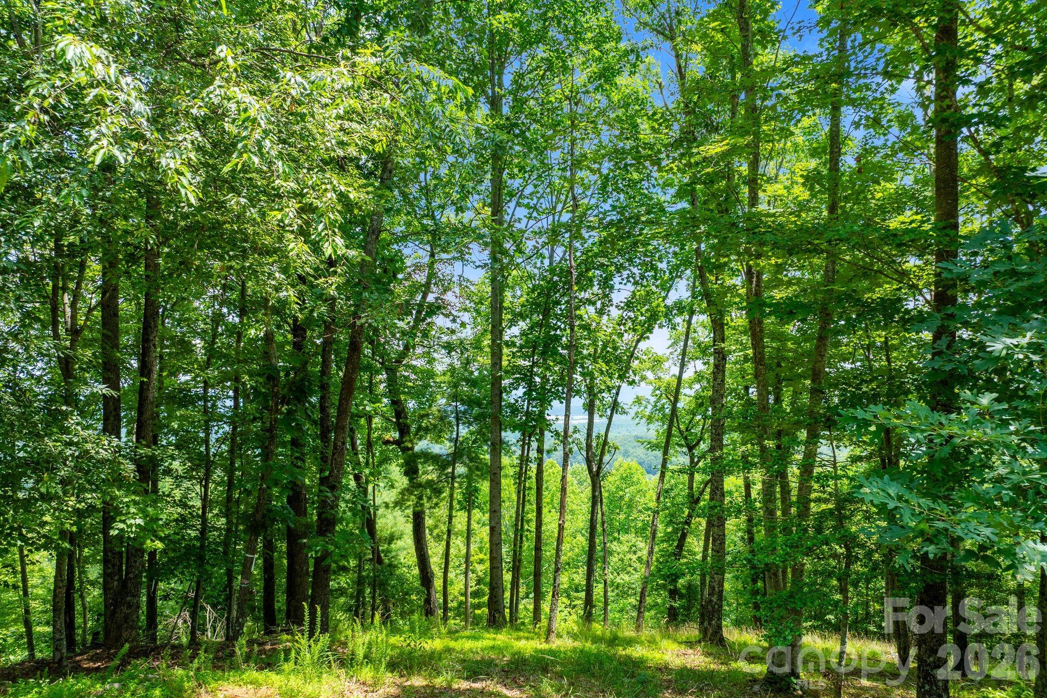 The Cliffs At Walnut Cove - Residential