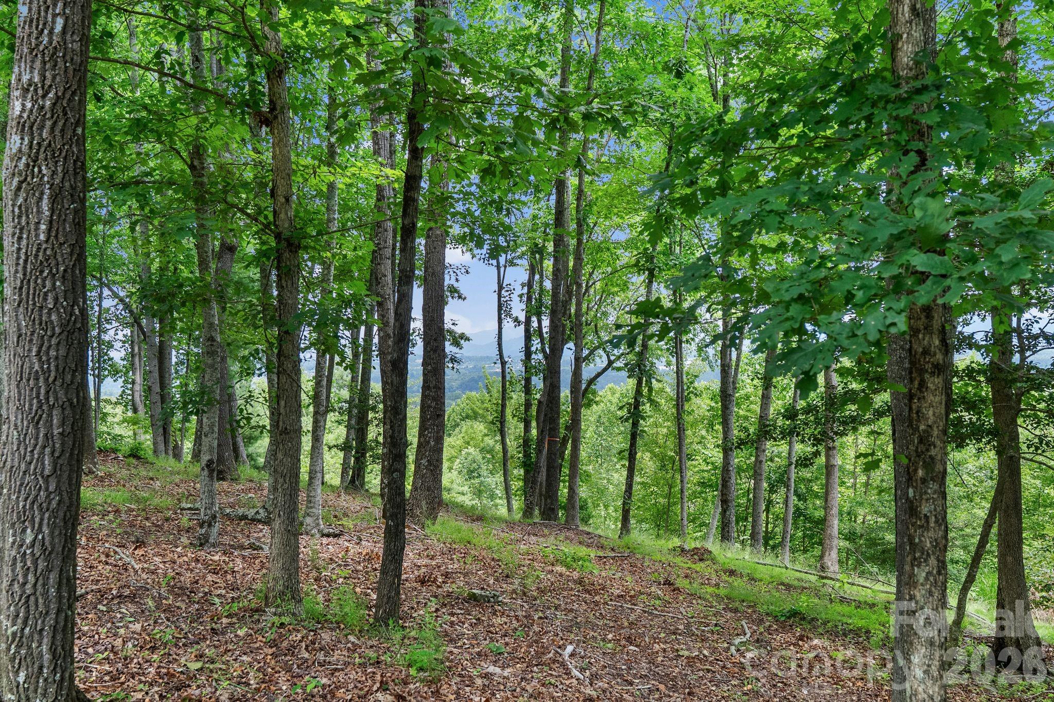 The Cliffs At Walnut Cove - Residential