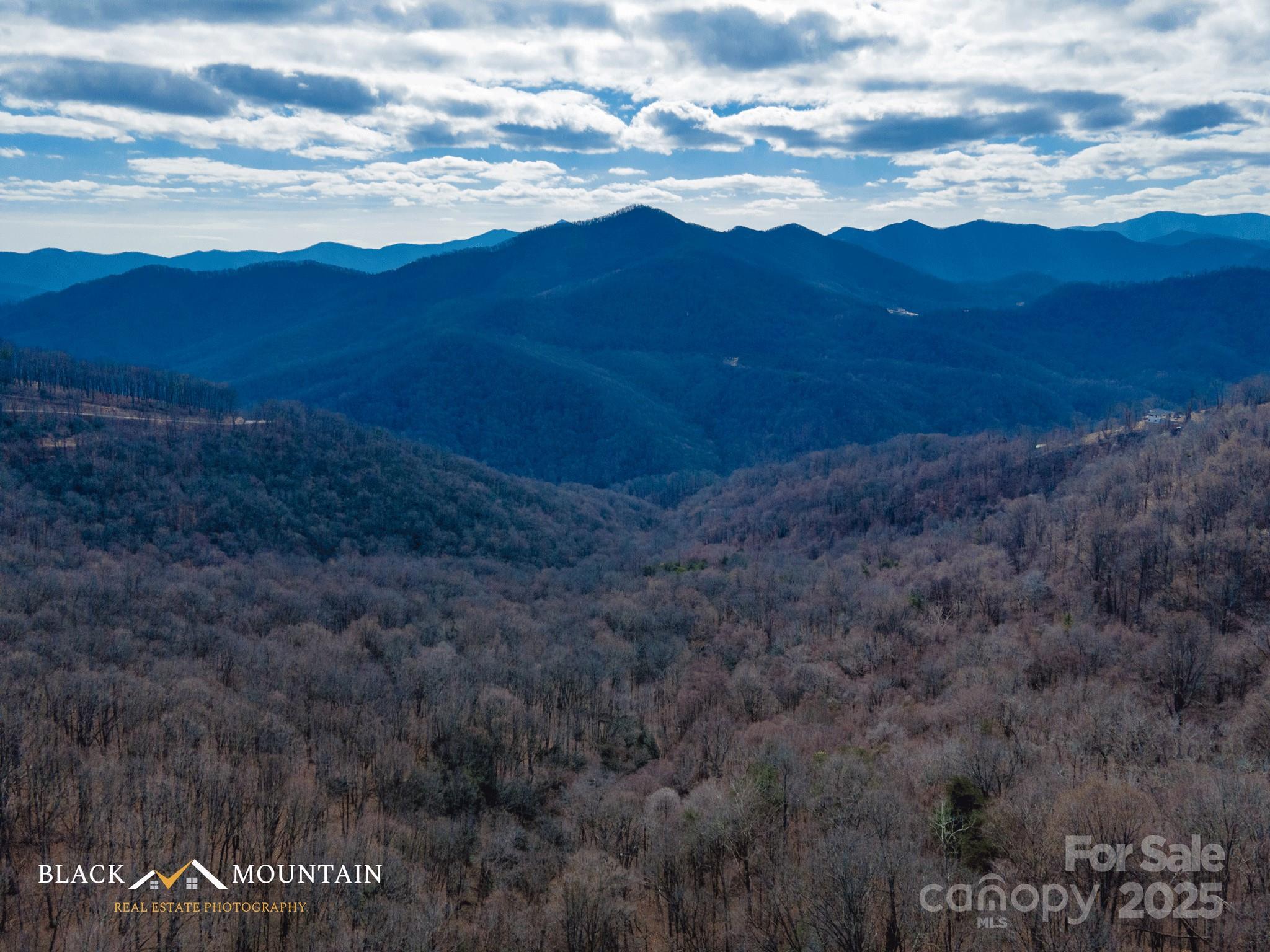 The Summit of Asheville - Land