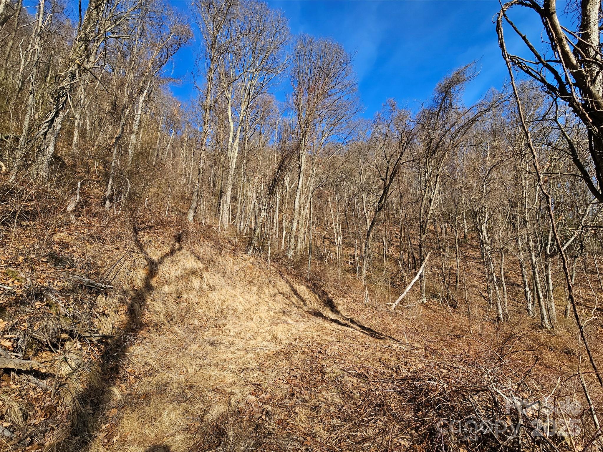 The Summit of Asheville - Land