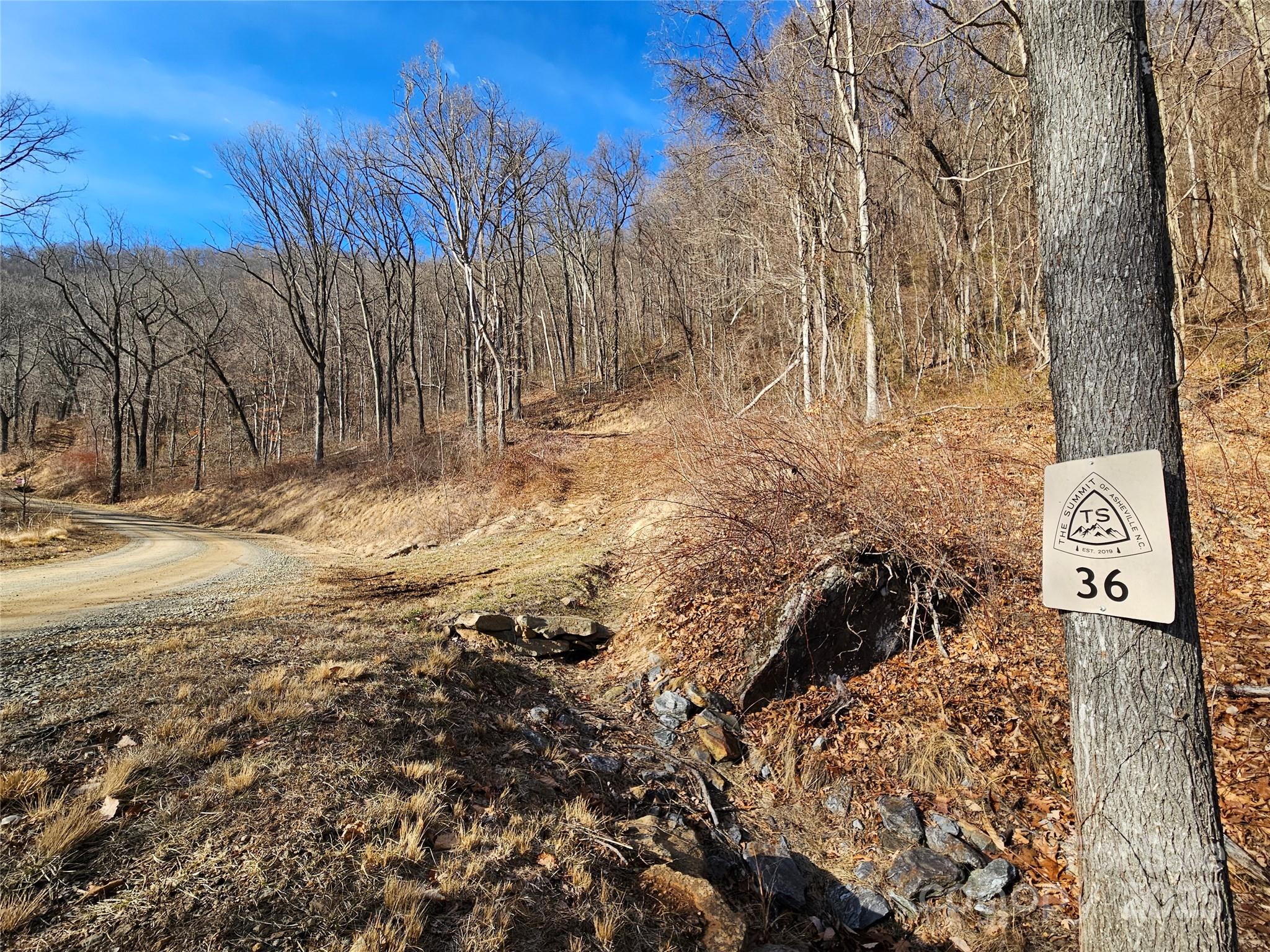 The Summit of Asheville - Land