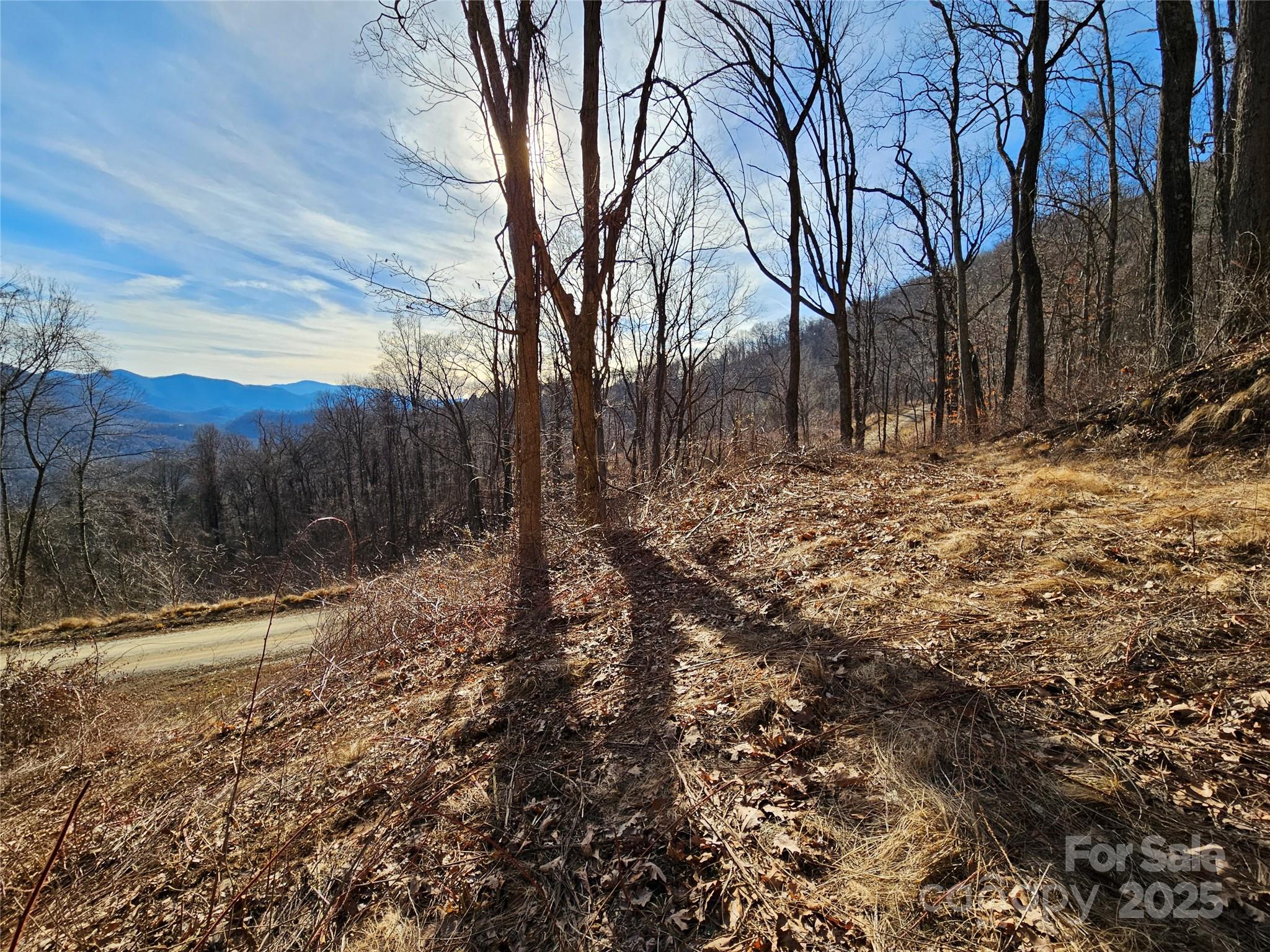 The Summit of Asheville - Land