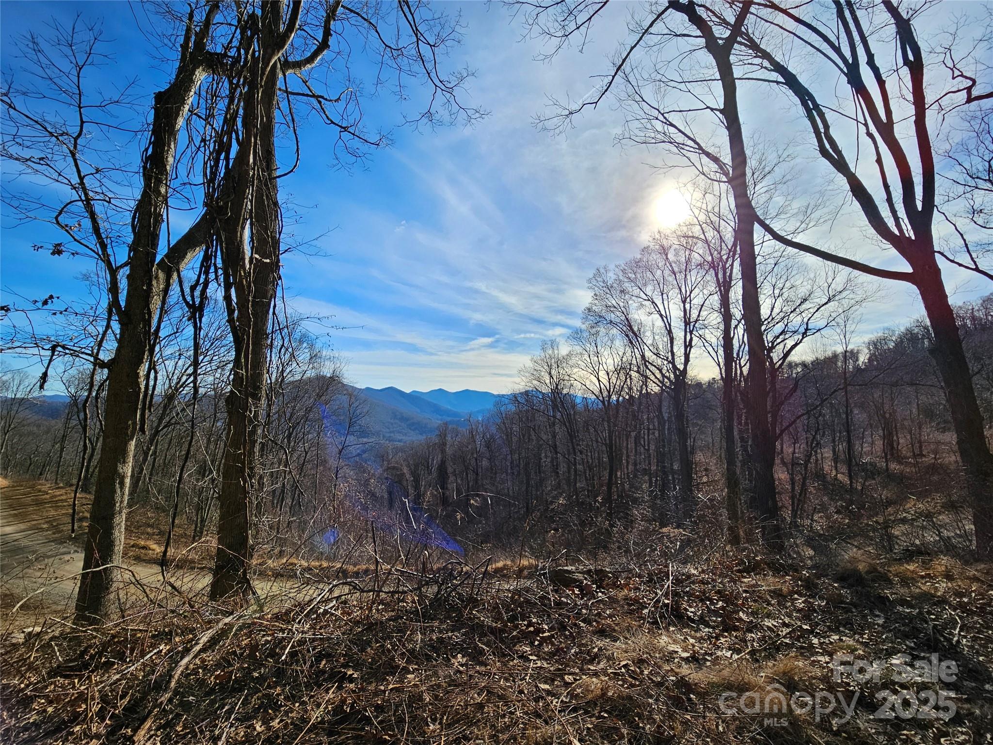The Summit of Asheville - Land