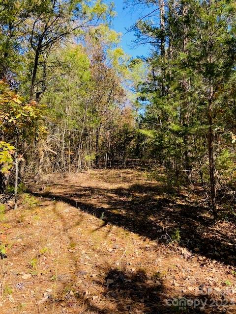 Only 1 mile from Hwy 521 makes this a perfect place for your dream home.  Hwy 521 is the corridor into Ballantyne and Charlotte.  The lot is in the Town of Van Wyck and close to other luxury homes and high-end developments which makes it the perfect place for your custom built home.  W. North Corner Rd has gas, water, and fiber optic internet in place.  The 1AC lot next to this one is also for sale.