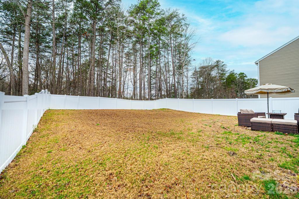 The Mills at Long Creek - Residential