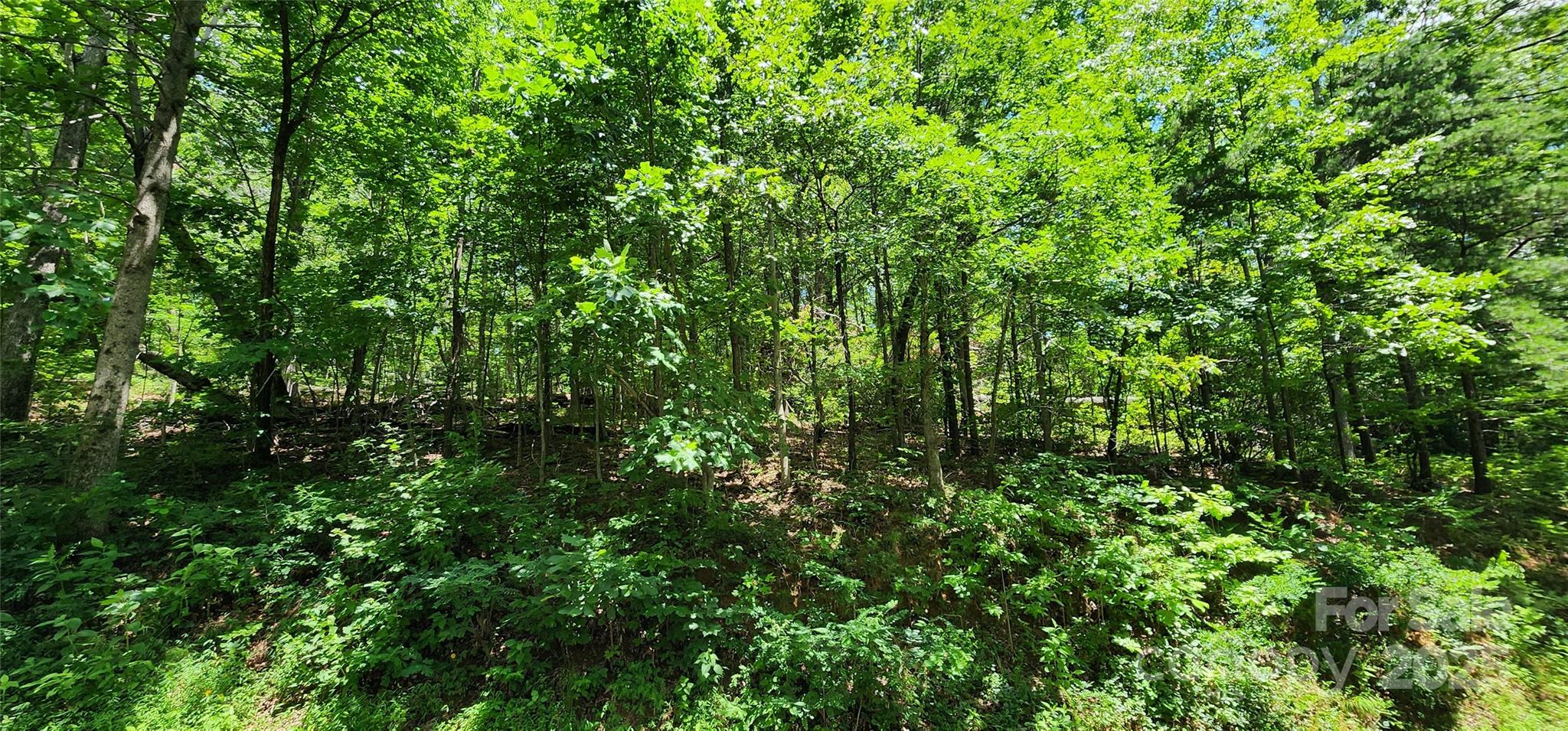 White Oak Mountain - Land