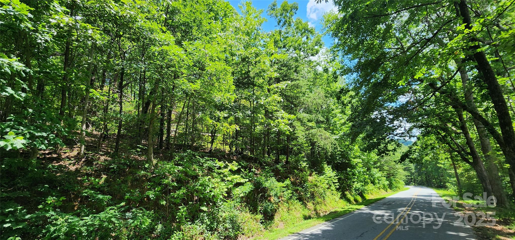 White Oak Mountain - Land