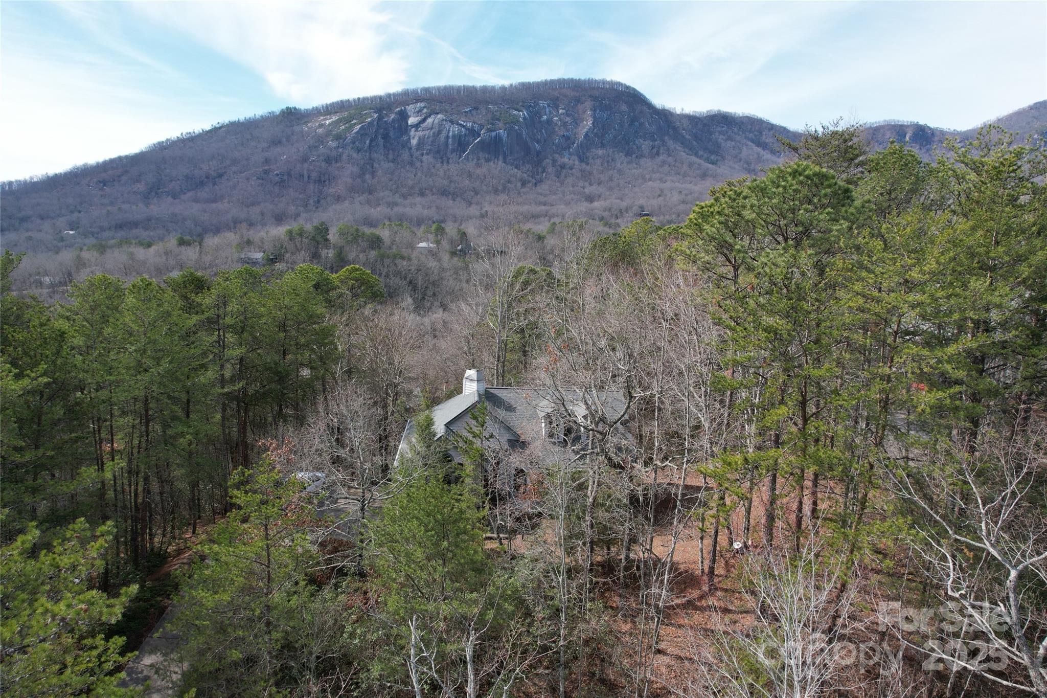 Rumbling Bald on Lake Lure - Residential