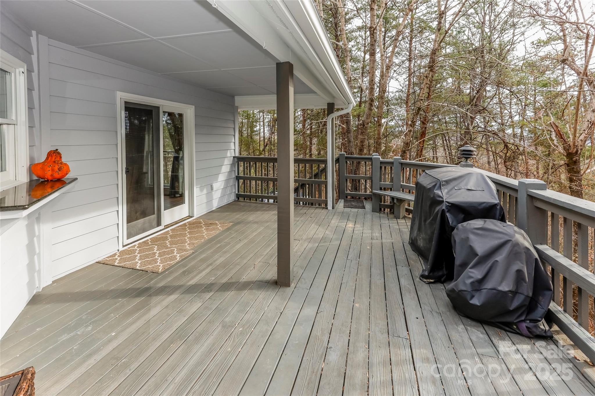 Rumbling Bald on Lake Lure - Residential