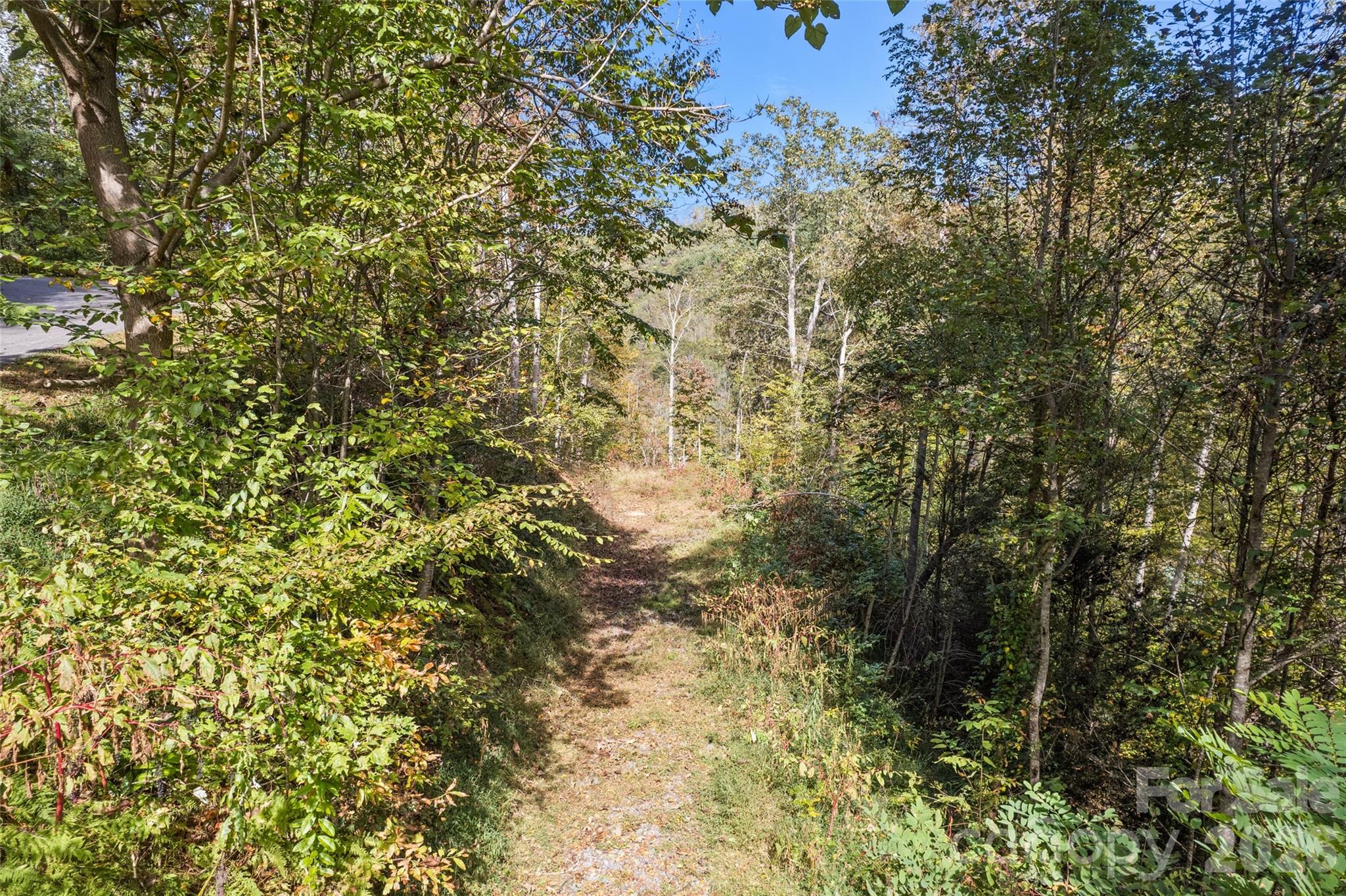 River Woods - Land