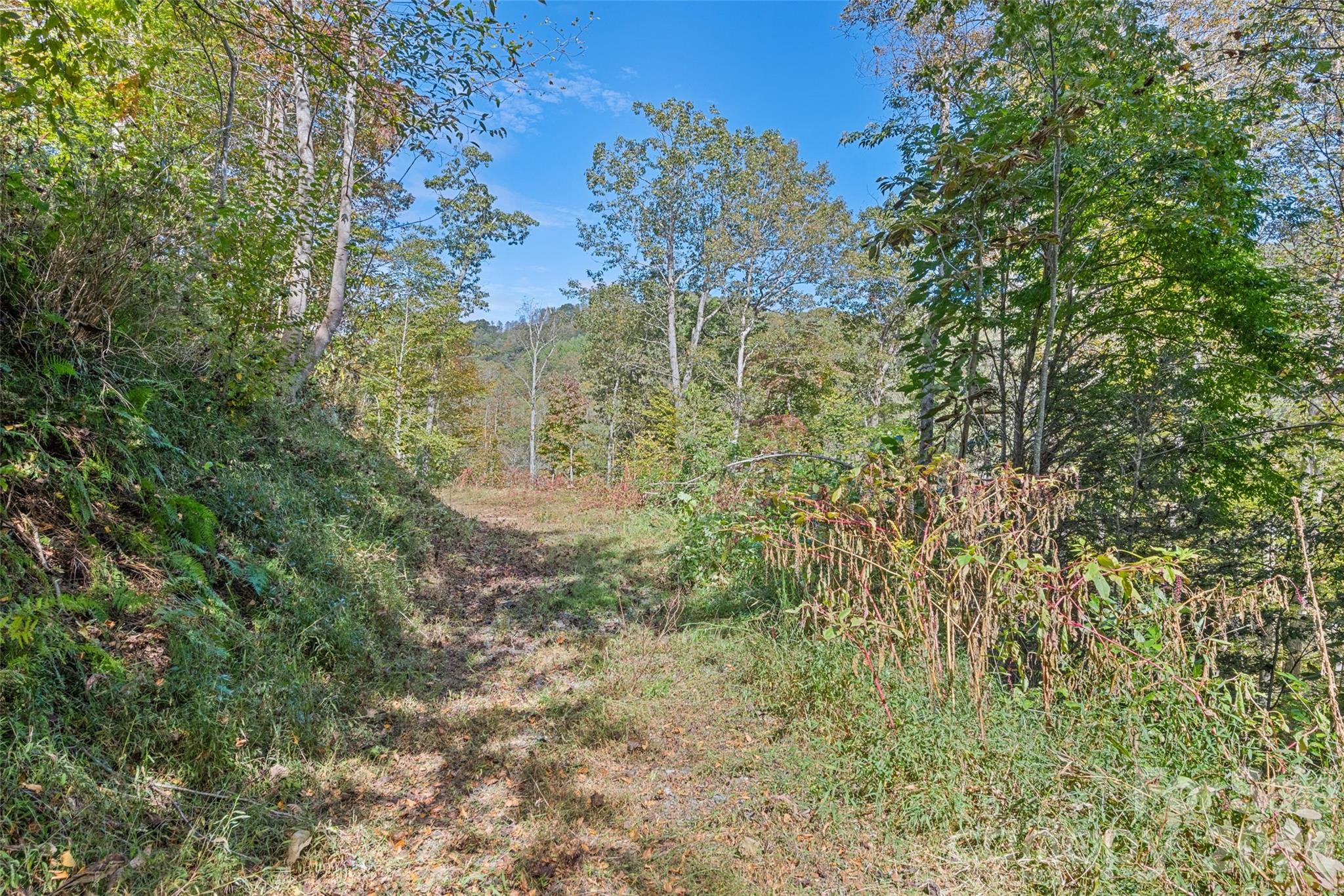 River Woods - Land