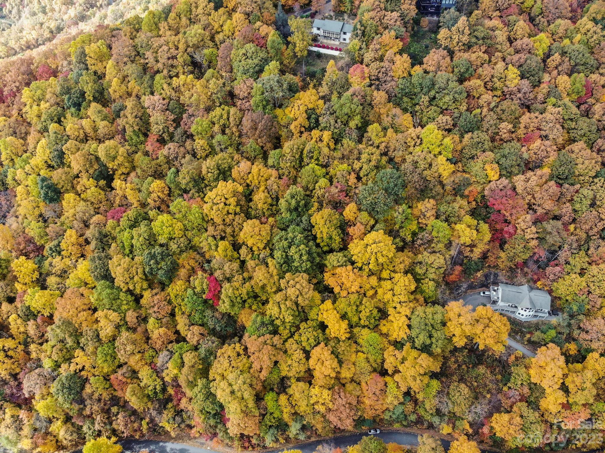 Laurel Ridge - Land
