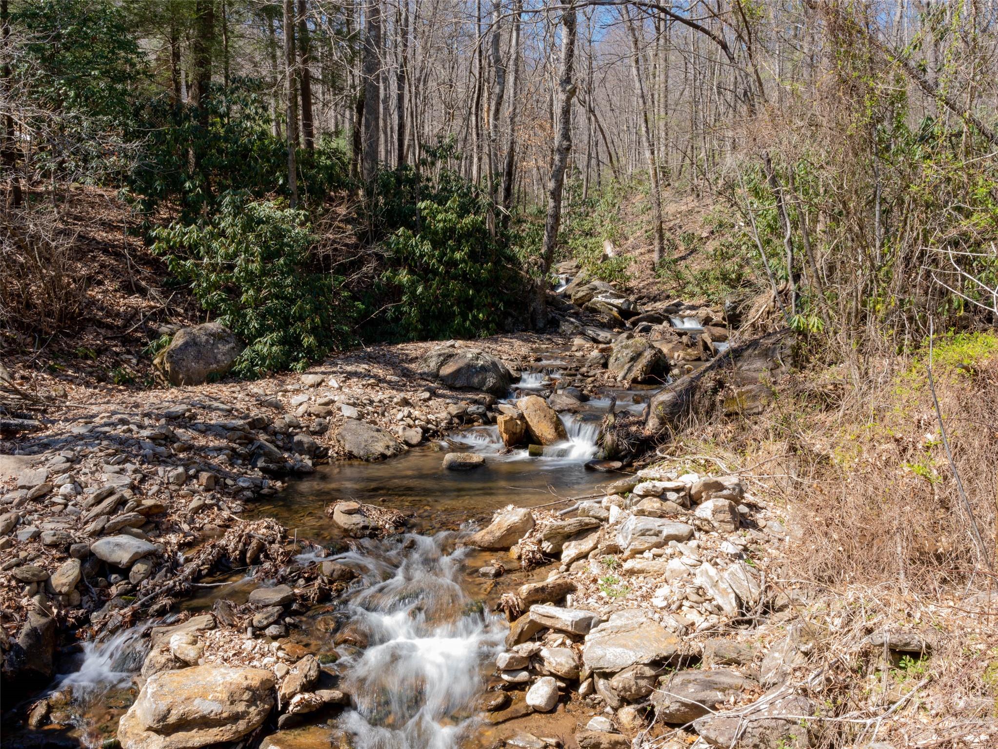 Laurel Ridge - Land