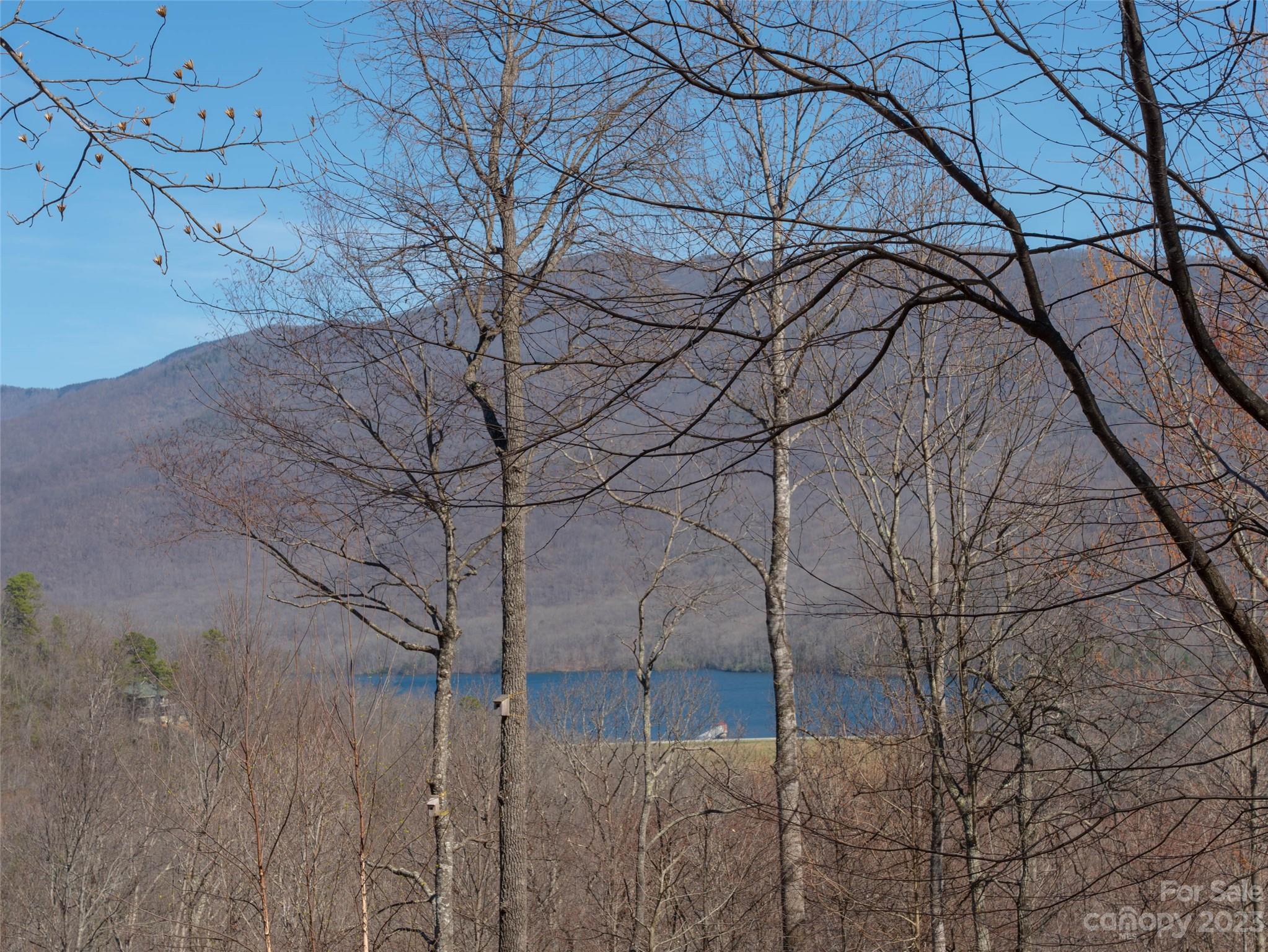 Laurel Ridge - Land