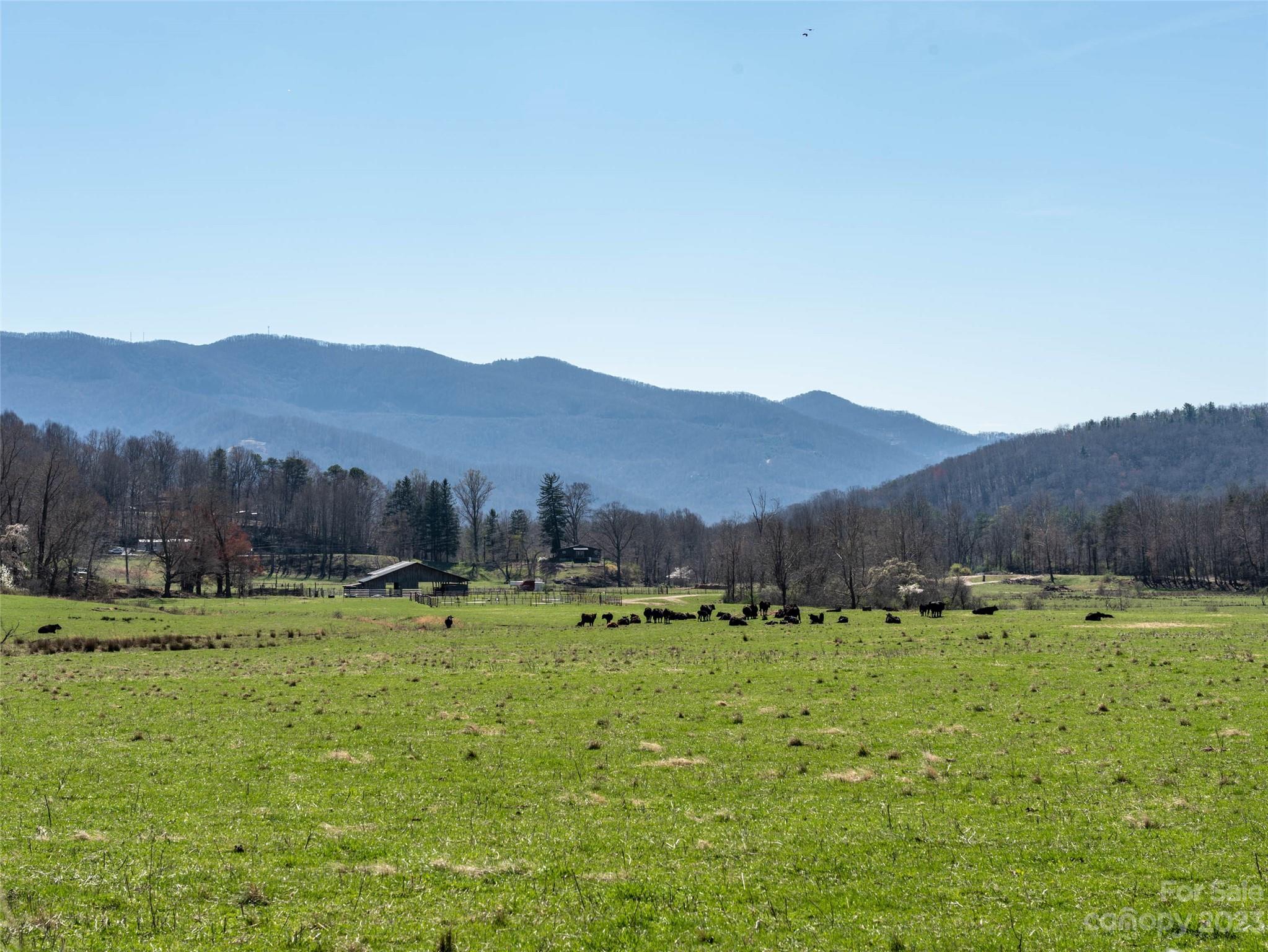Laurel Ridge - Land