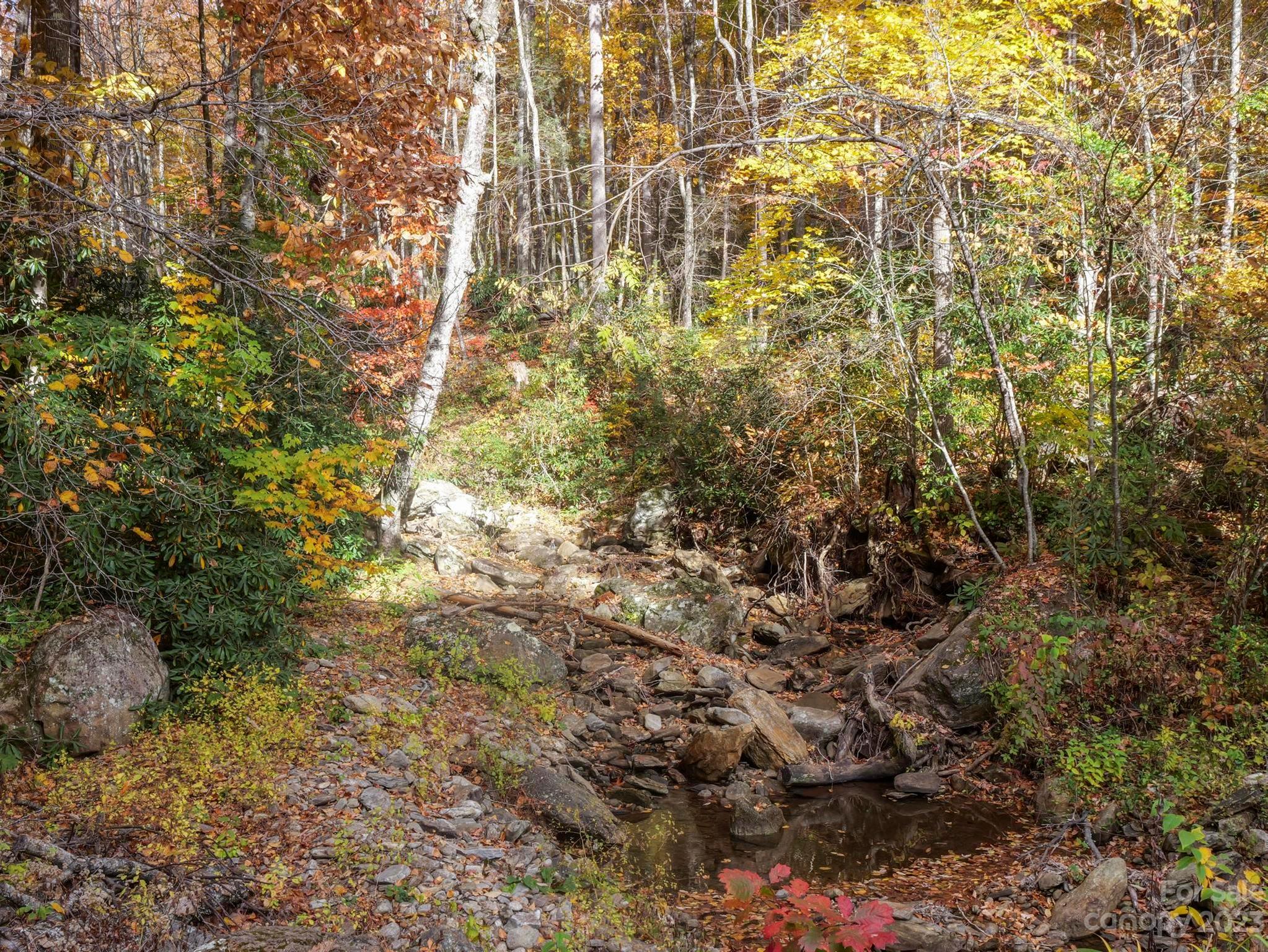 Laurel Ridge - Land