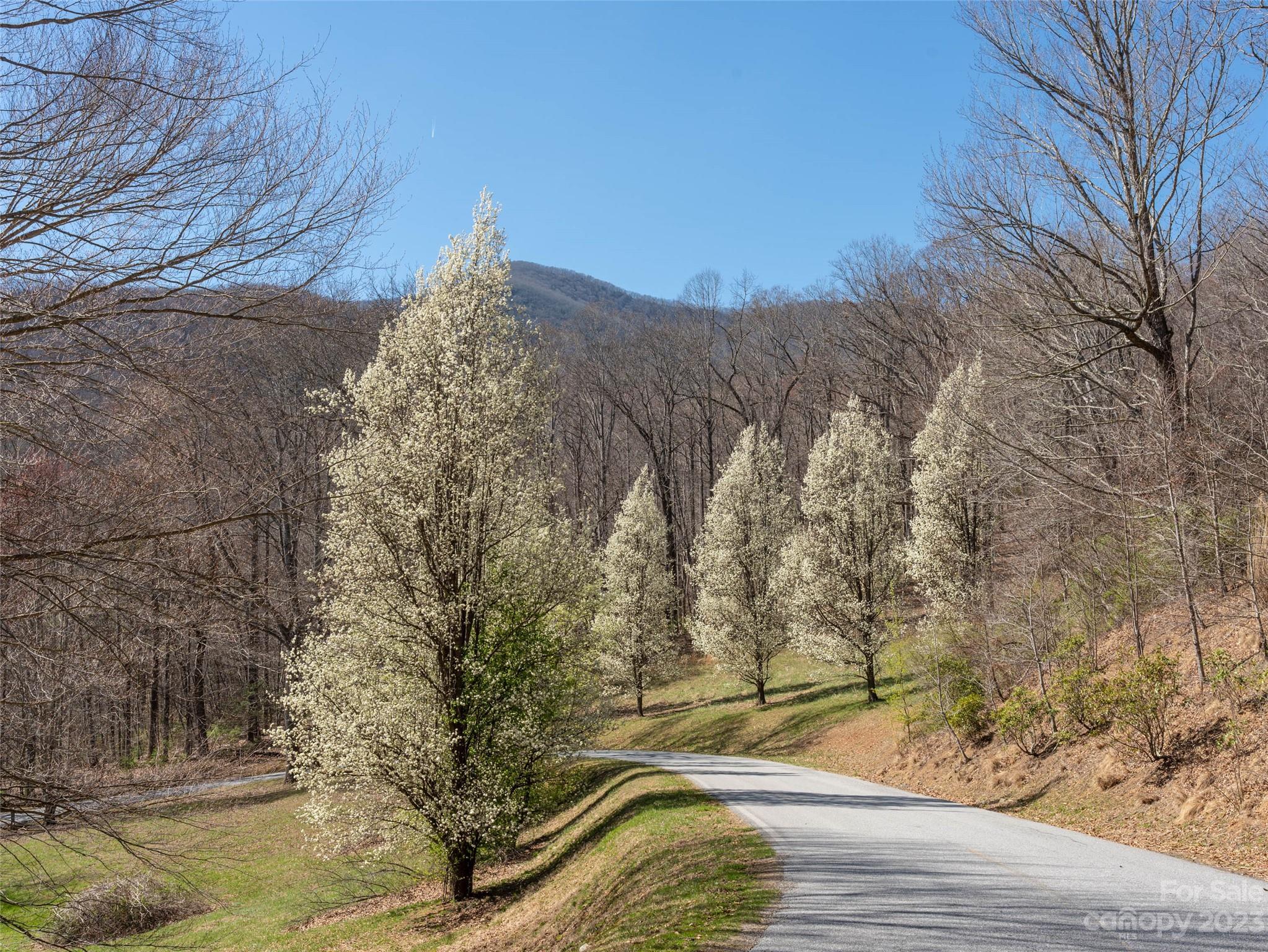 Laurel Ridge - Land
