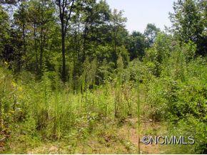 Gray Fox Development - Land