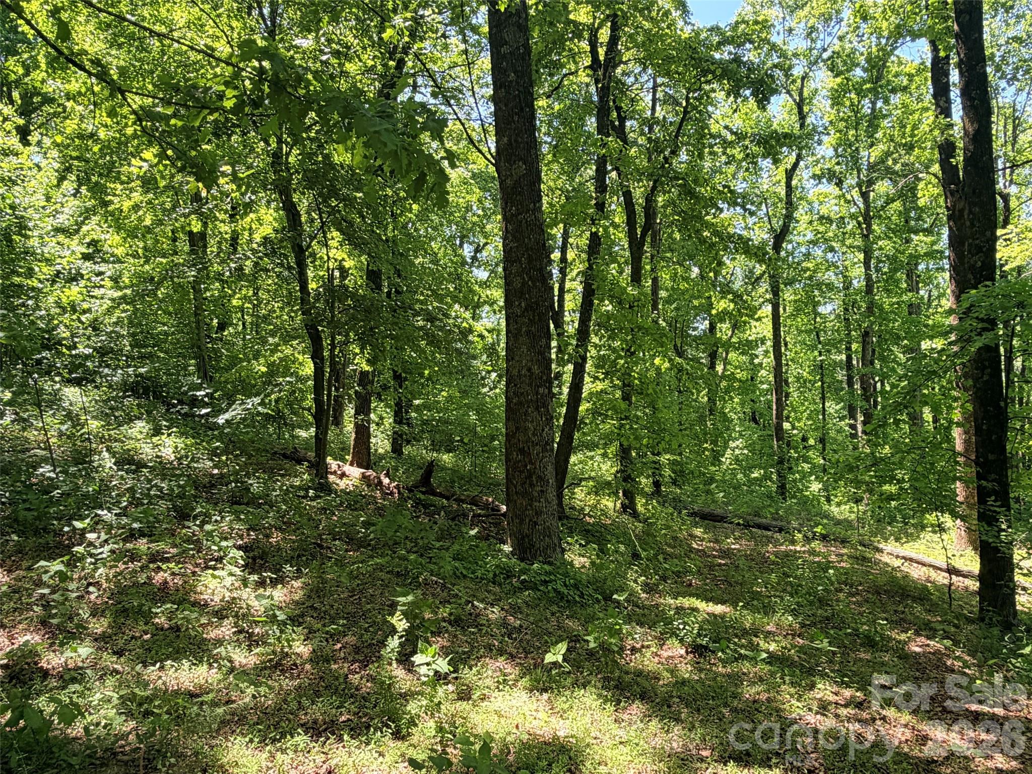 High Cliffs at Round Mountain - Land