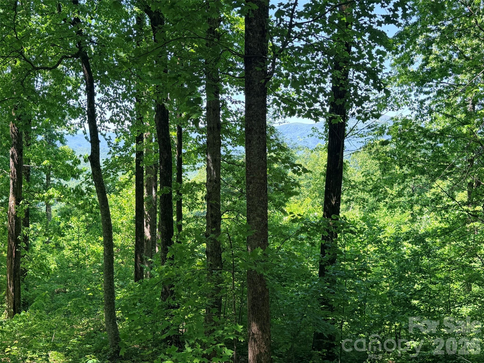 High Cliffs at Round Mountain - Land