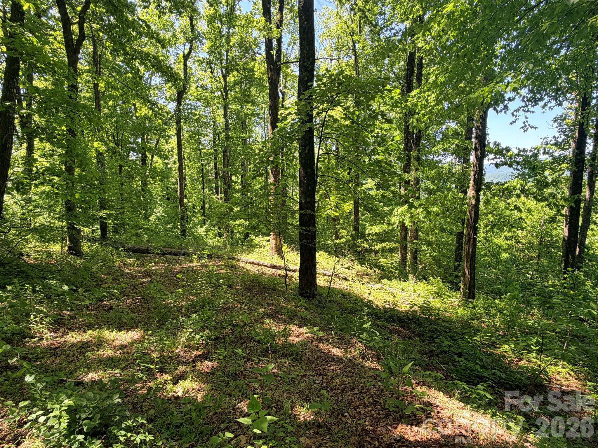 High Cliffs at Round Mountain - Land