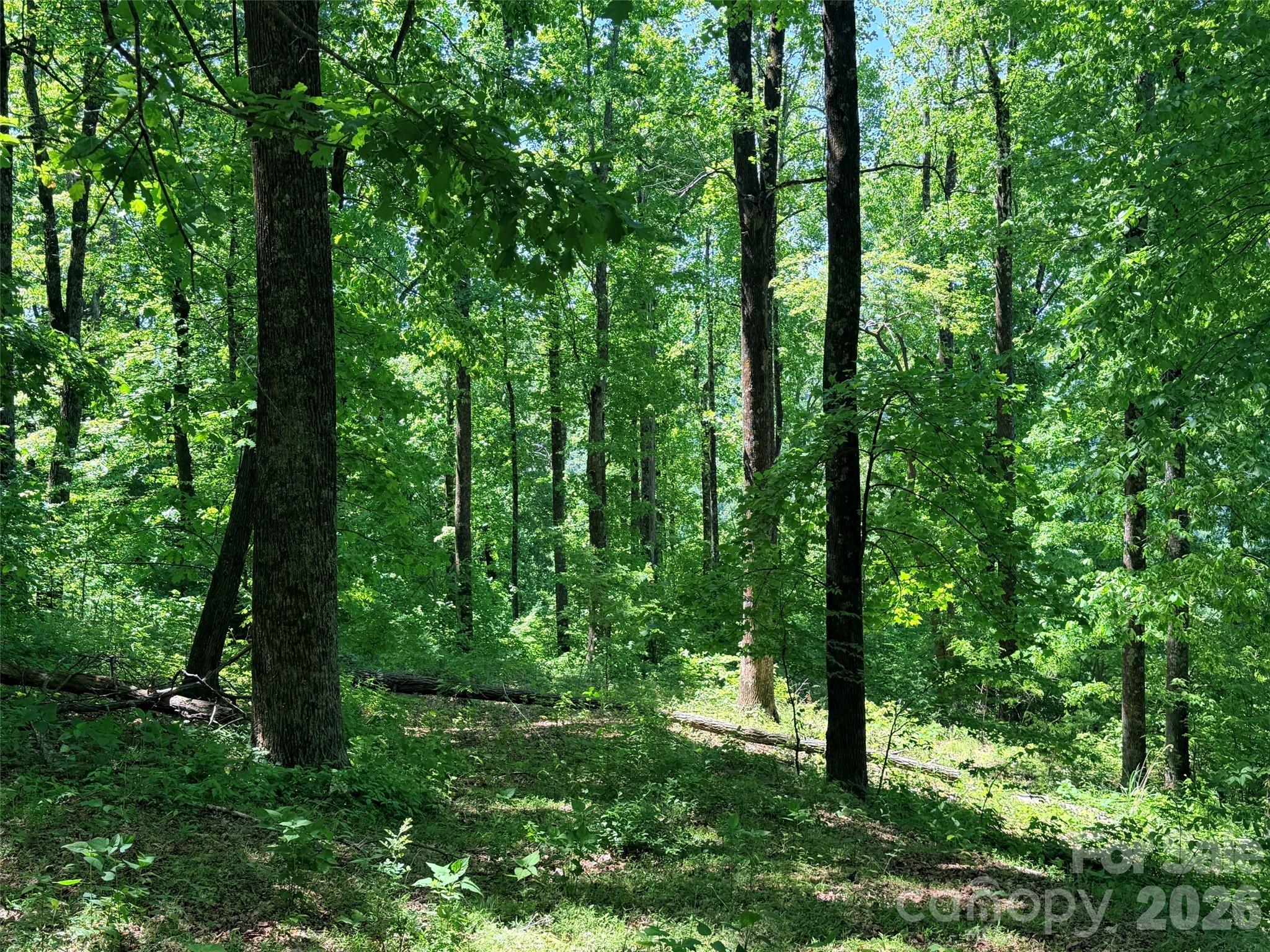 High Cliffs at Round Mountain - Land
