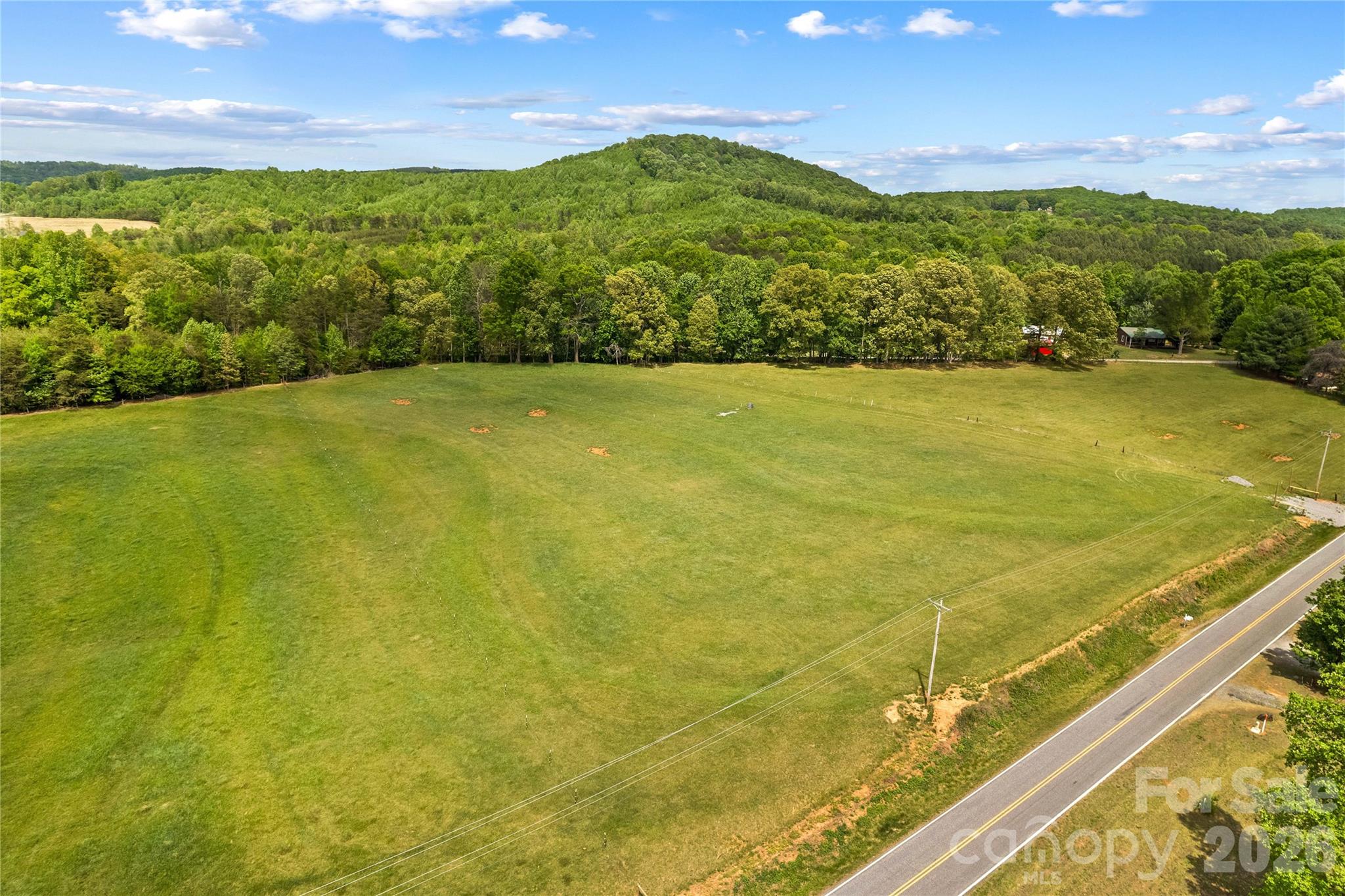 Don't miss this chance to own a piece of country paradise. Cleared lot with an installed well, completed perc test and approved 4-BR septic permit — ready for your dream home or a recreational retreat. Plenty of room for a mini-farm; property cannot be subdivided and allows only one dwelling per lot for added privacy. Quiet, private setting yet convenient to local amenities. Buyer to verify acreage, utilities and permits.
