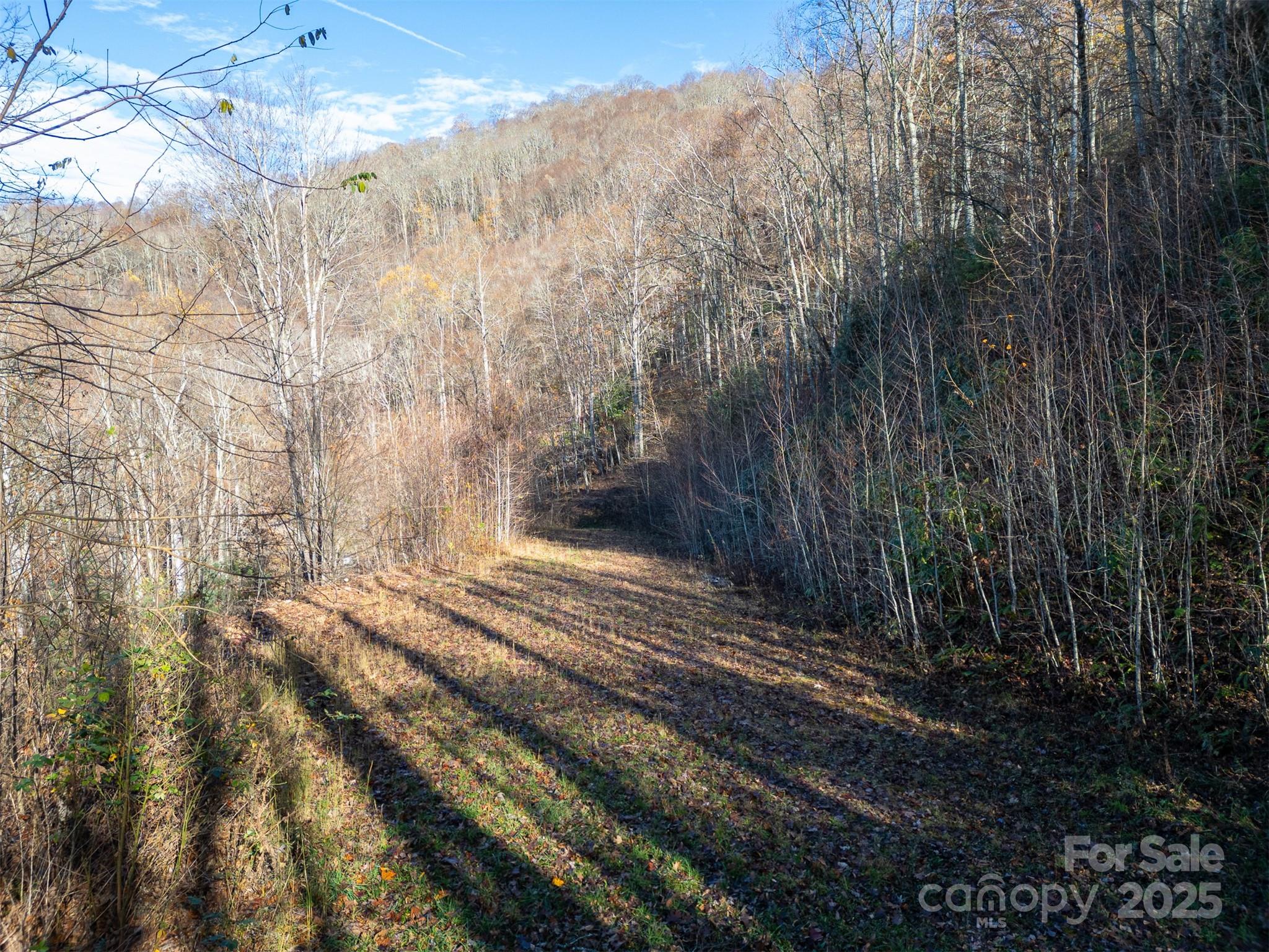 Panther Creek Estates - Land