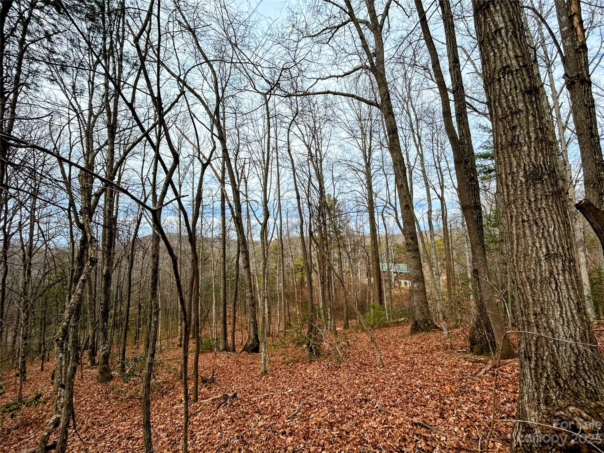 Little Warrior Mtn Estates - Land
