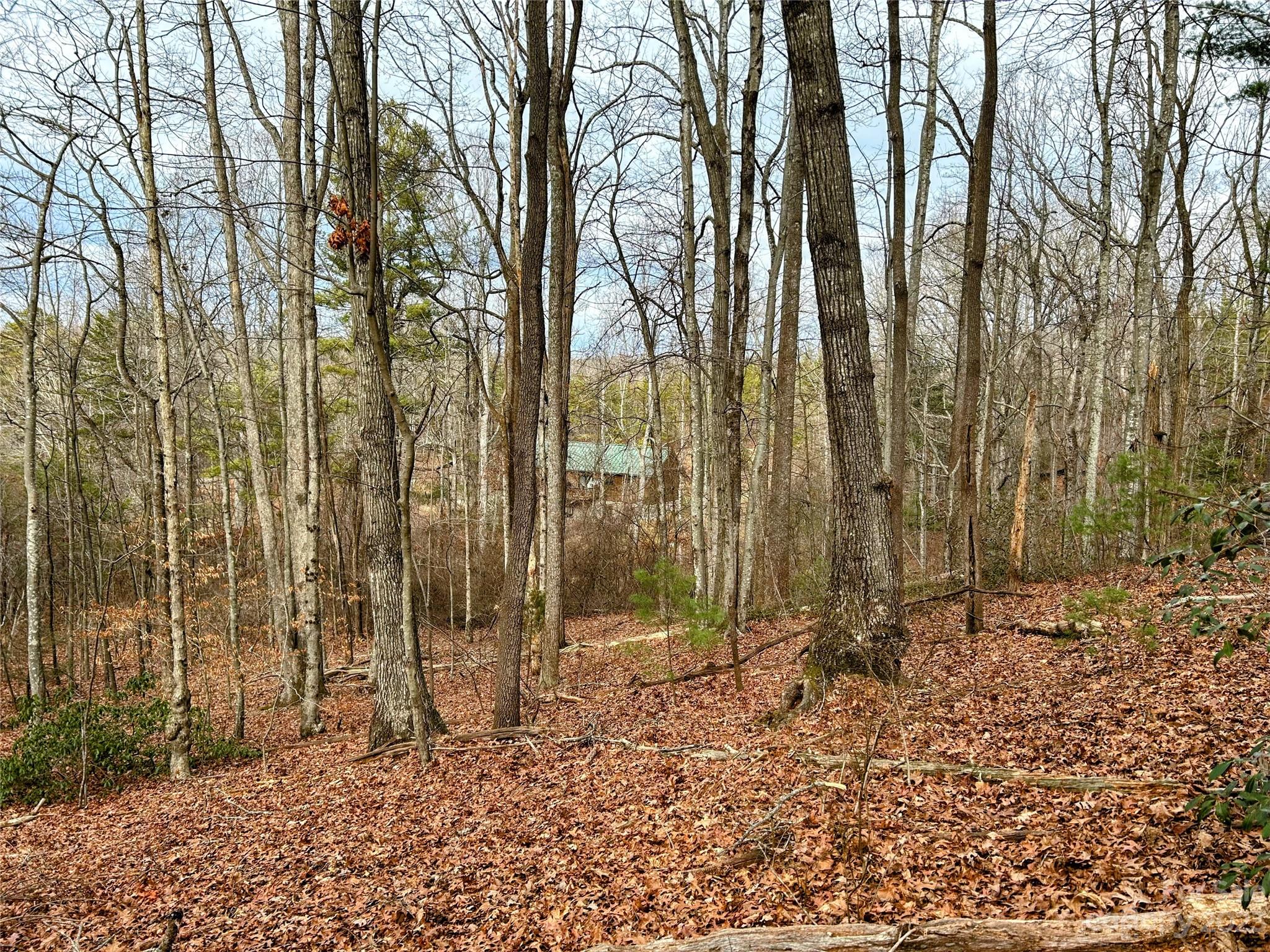 Little Warrior Mtn Estates - Land