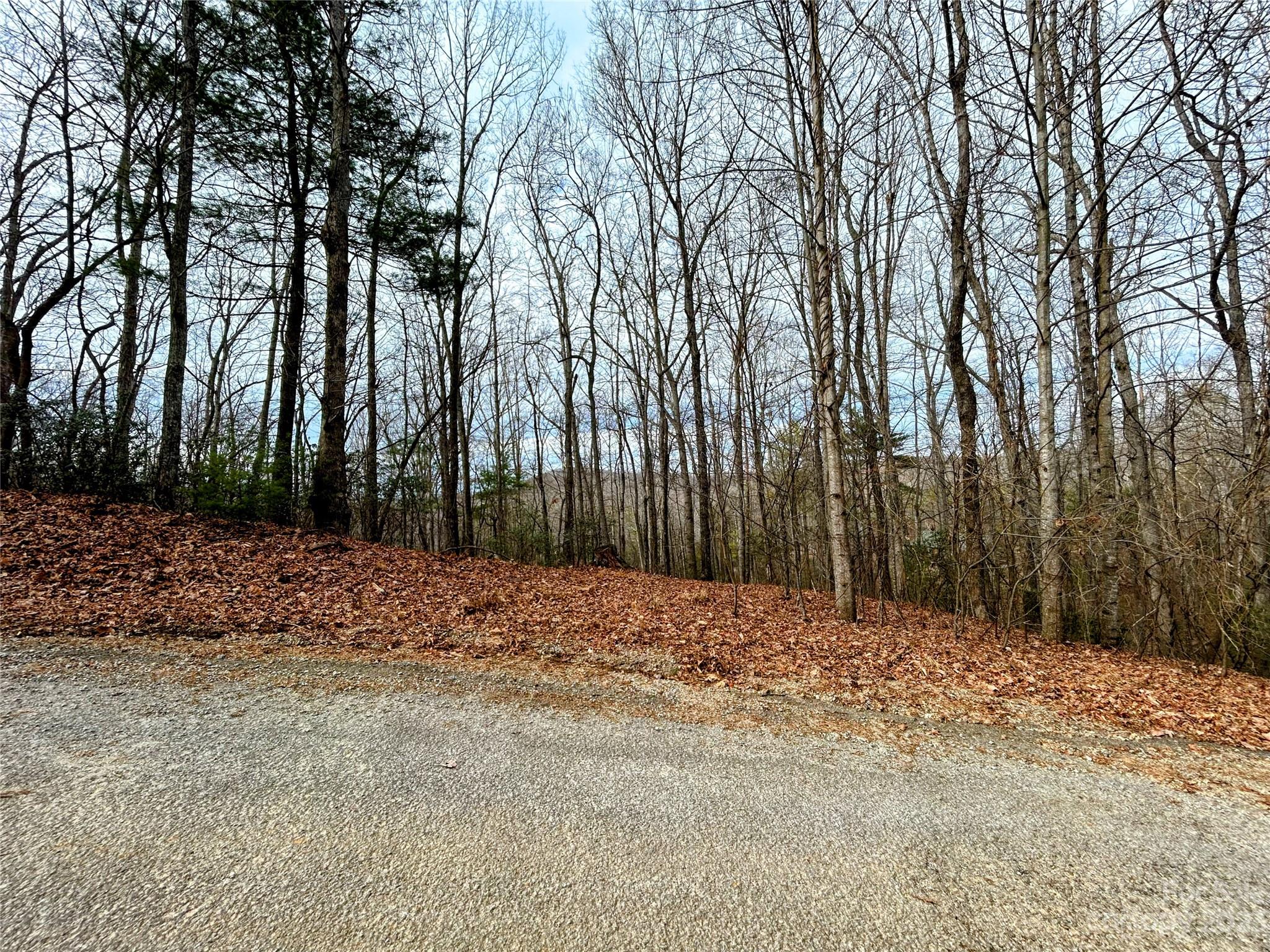 Little Warrior Mtn Estates - Land