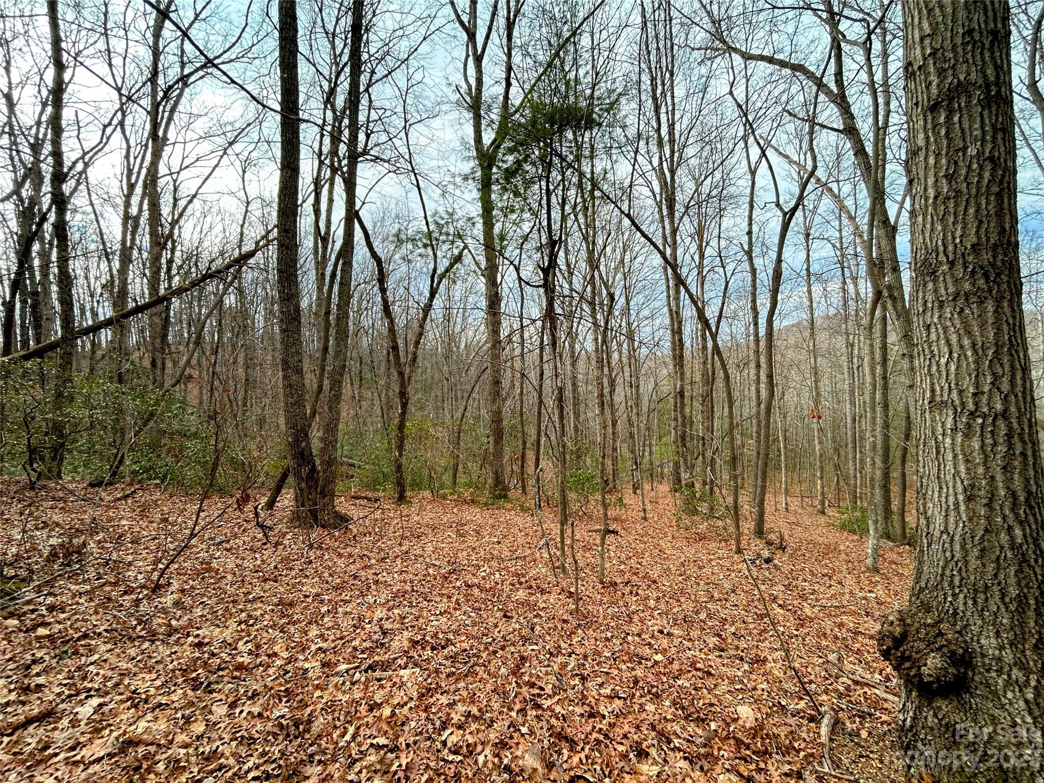 Little Warrior Mtn Estates - Land
