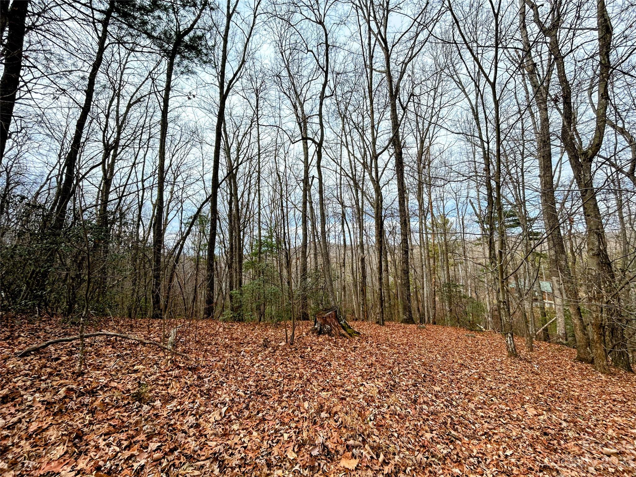 Little Warrior Mtn Estates - Land