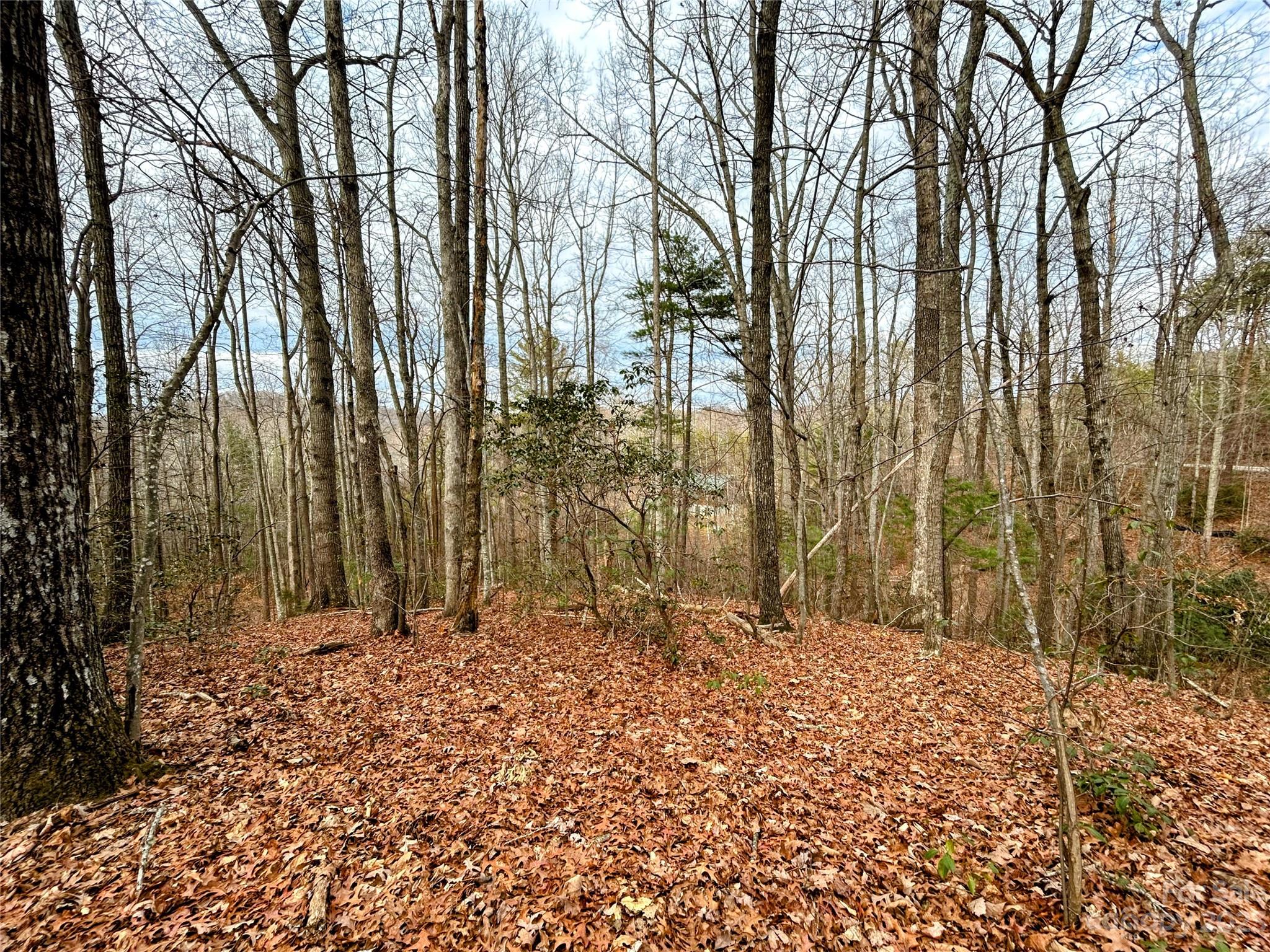 Little Warrior Mtn Estates - Land
