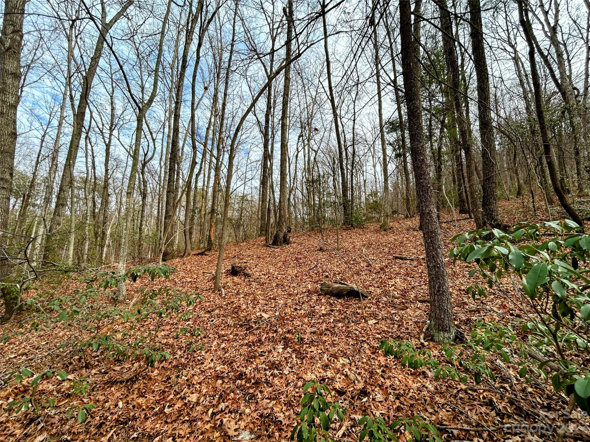 Little Warrior Mtn Estates - Land