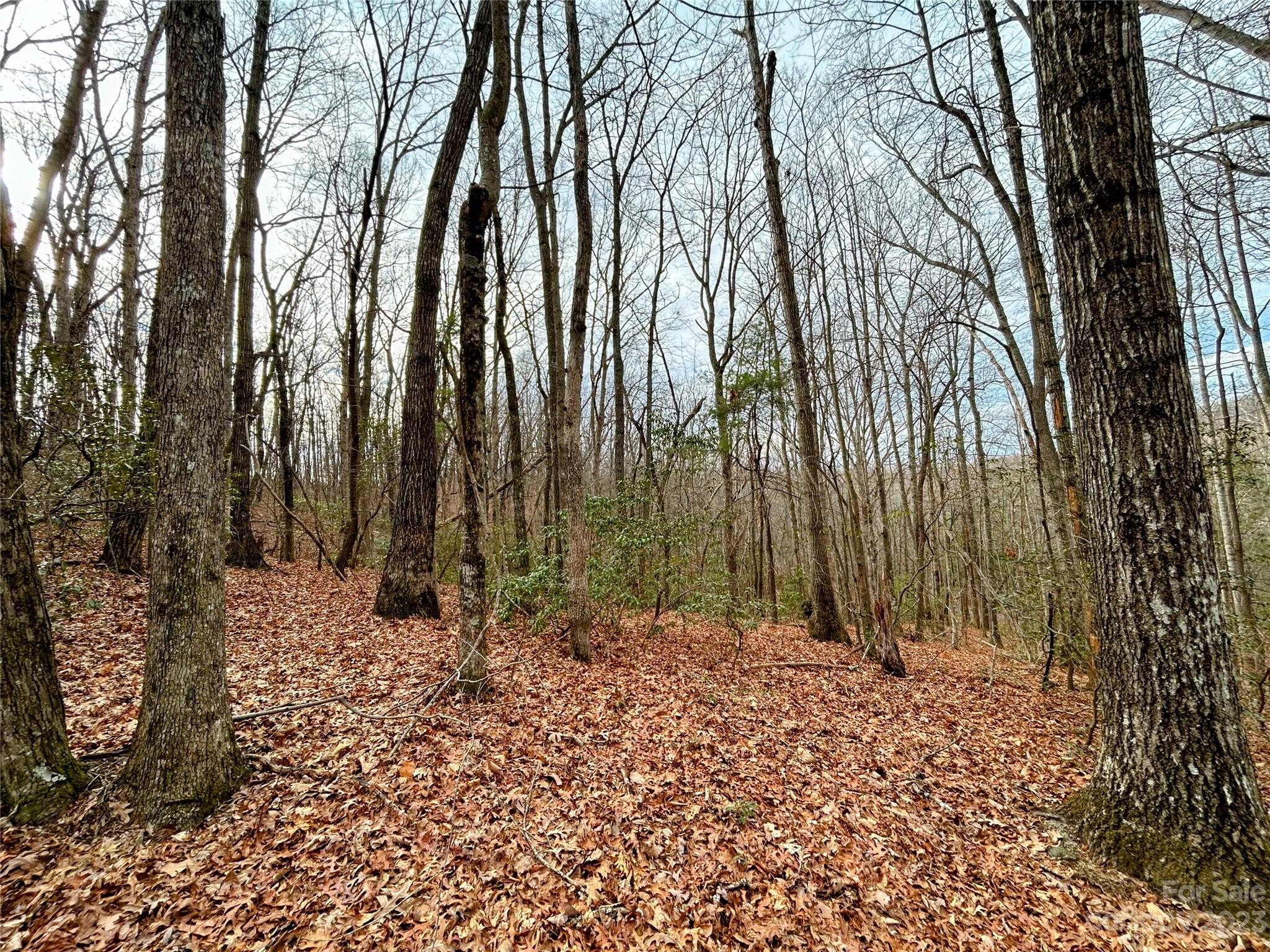 Little Warrior Mtn Estates - Land