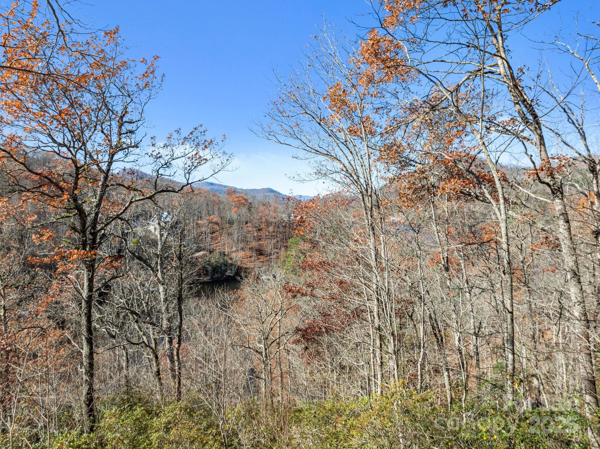 Bear Lake Reserve - Land