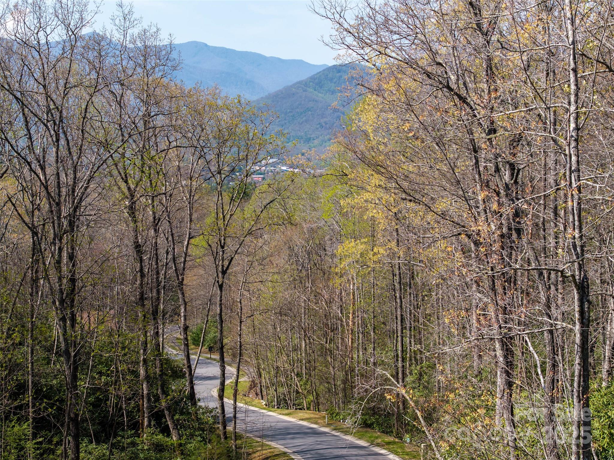 As you enter The Settings of Black Mountain, you are surrounded by stunning mountain views!  The community provides underground utilities, city water and sewer along with a Clubhouse, playground and hiking/nature trails.  Lot 141 offers natural beauty with rhododendron and a gentle slope.  This lot provides you with options to build closer to the road or a little further back, utilizing the natural landscaping.  Imagine your custom mountain retreat located in the vibrant small town of Black Mountain!  Contact listing agent to schedule your tour and to discover the possibilities.
