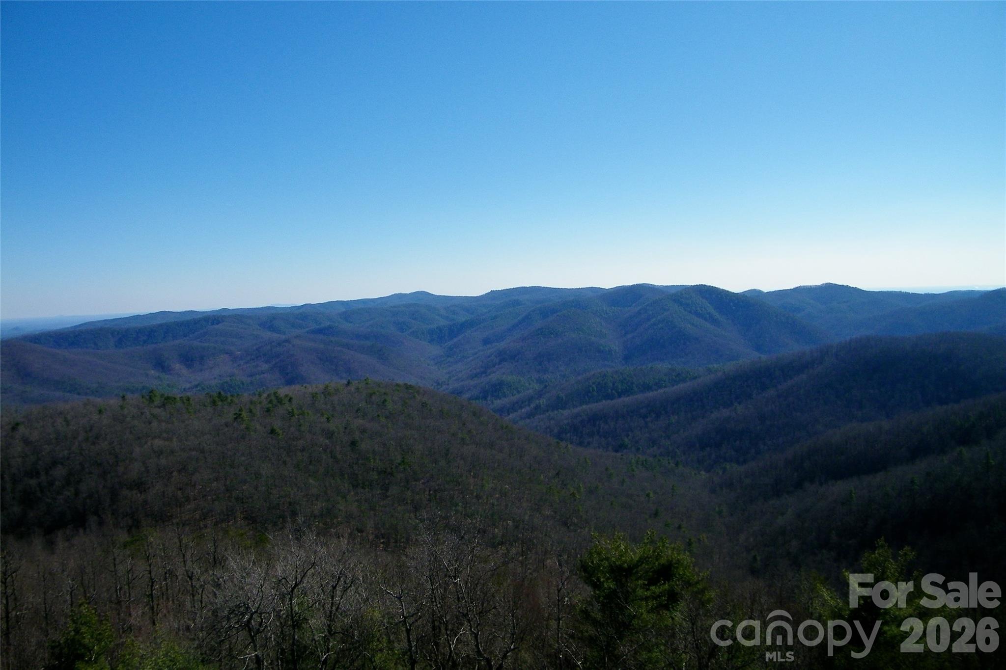 Blackberry Creek - Land