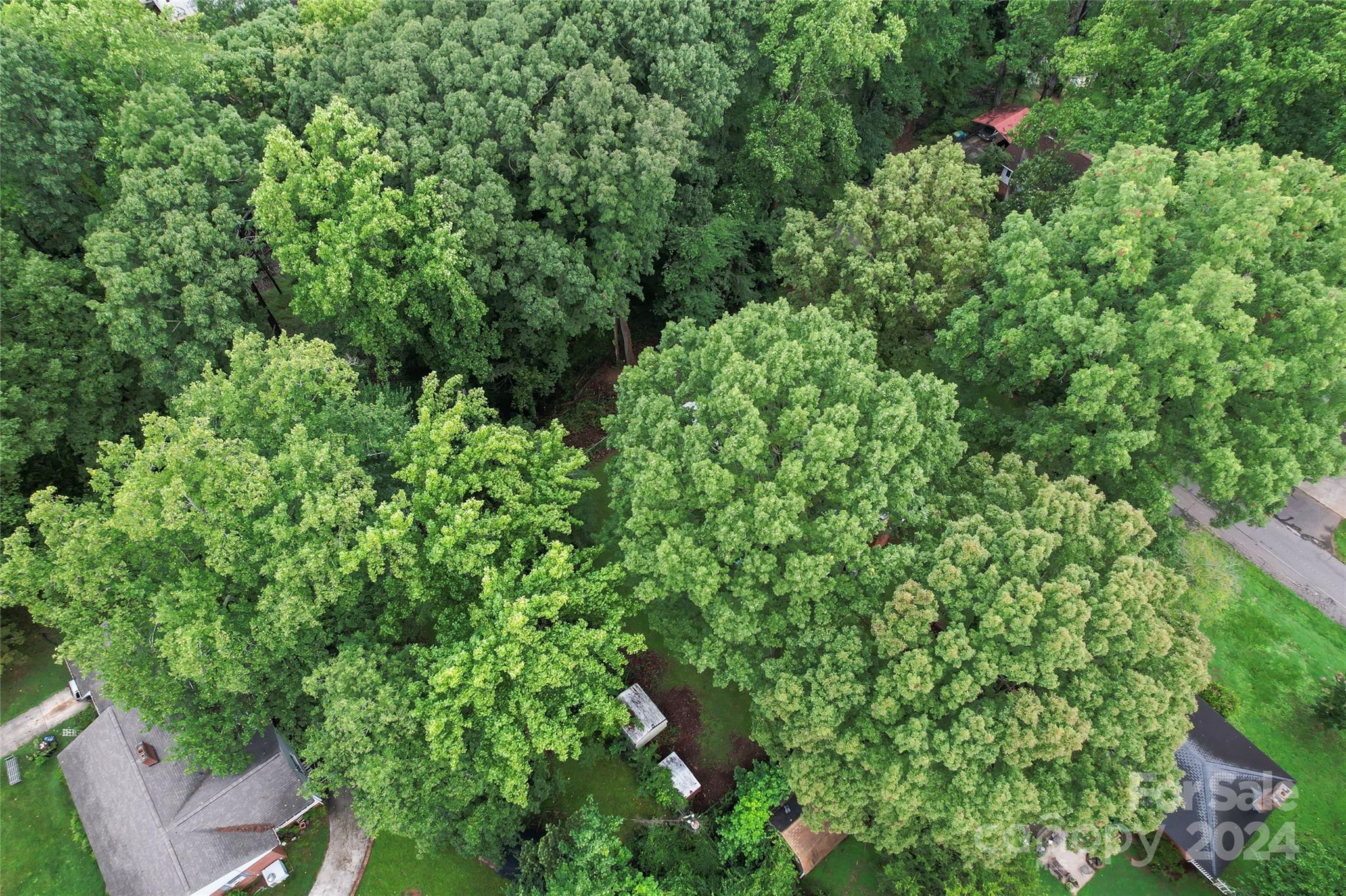 Whiteville Park - Residential
